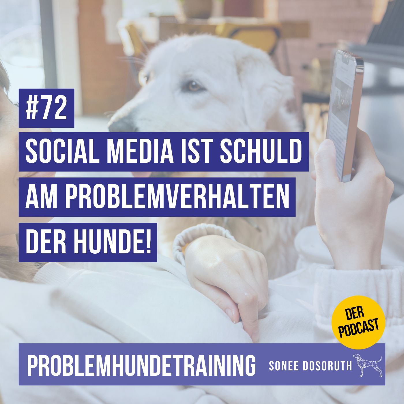 Social Media ist schuld am Problemverhalten der Hunde!