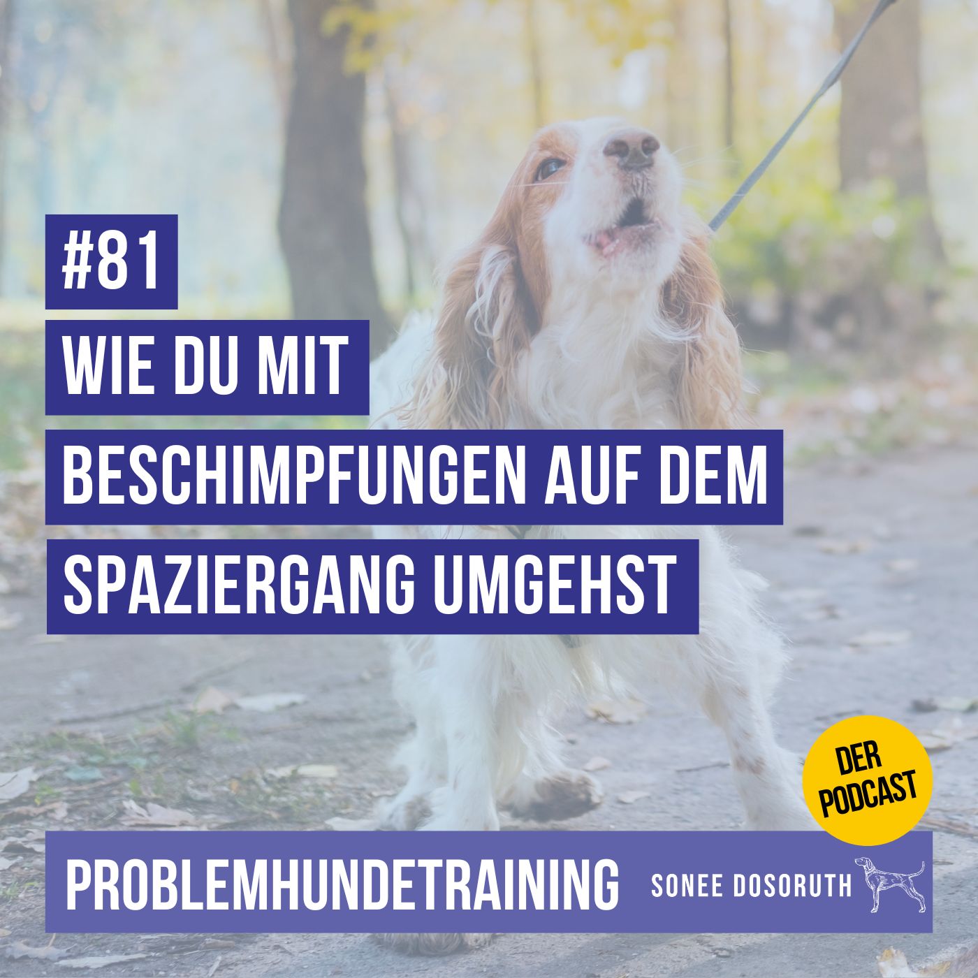 Wie du mit Beschimpfungen auf dem Spaziergang umgehst