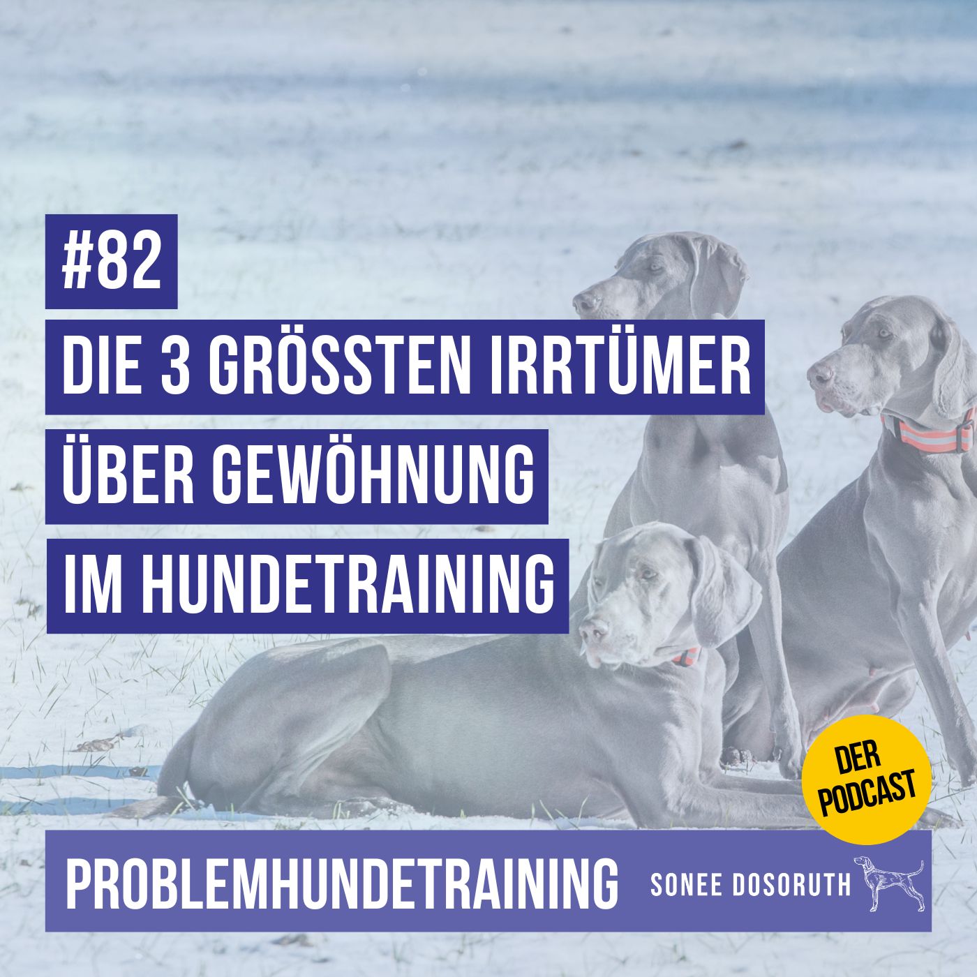 Die 3 grössten Irrtümer über Gewöhnung im Hundetraining