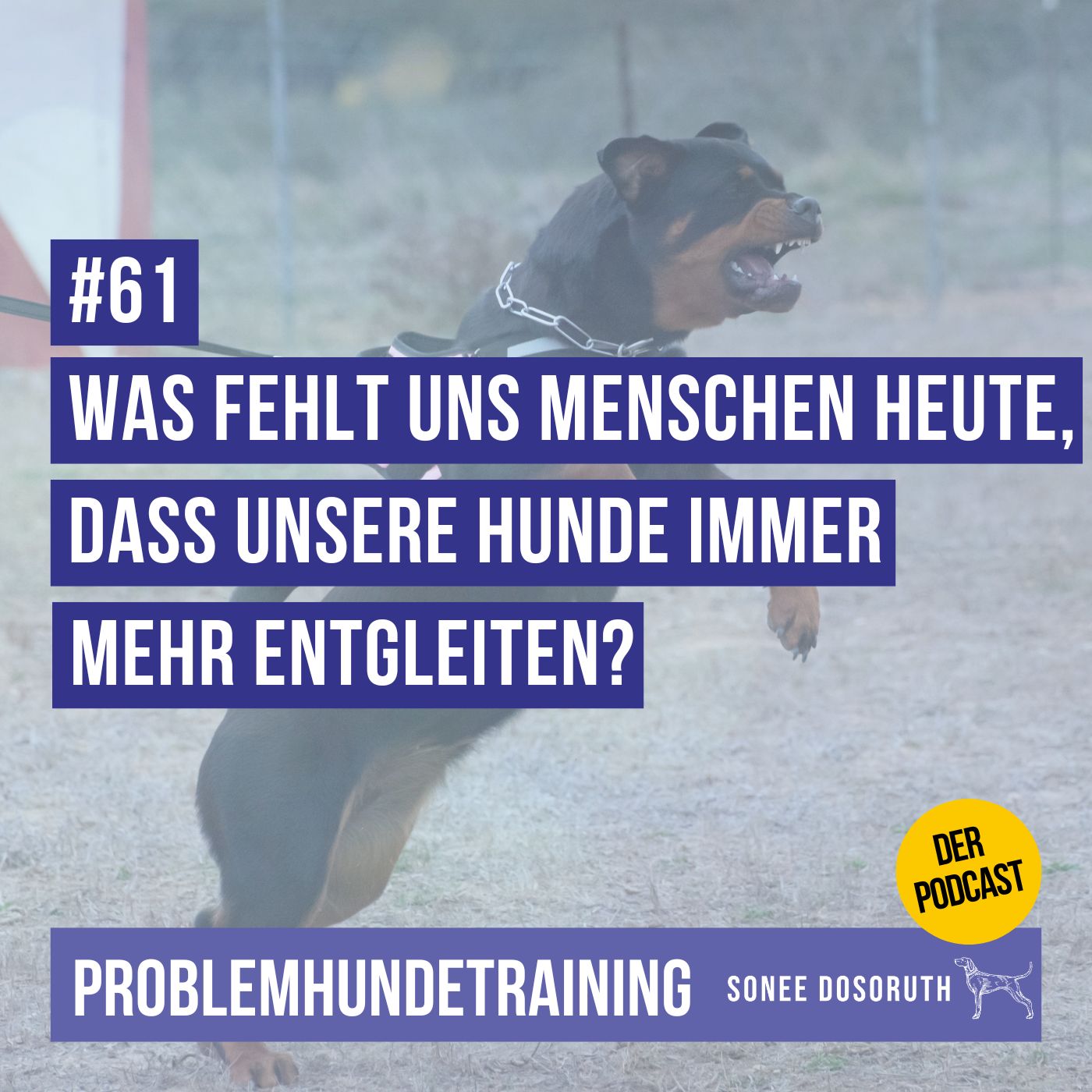Was fehlt uns Menschen heute, dass unsere Hunde immer mehr entgleiten?