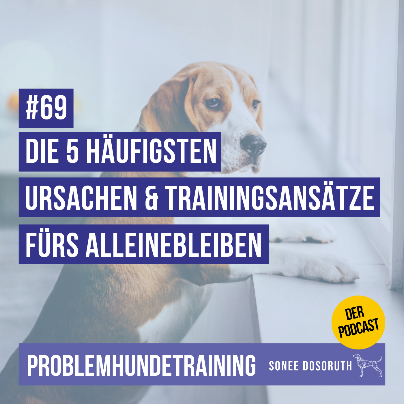 Die 5 häufigsten Ursachen & Trainingsansätze fürs Alleinebleiben