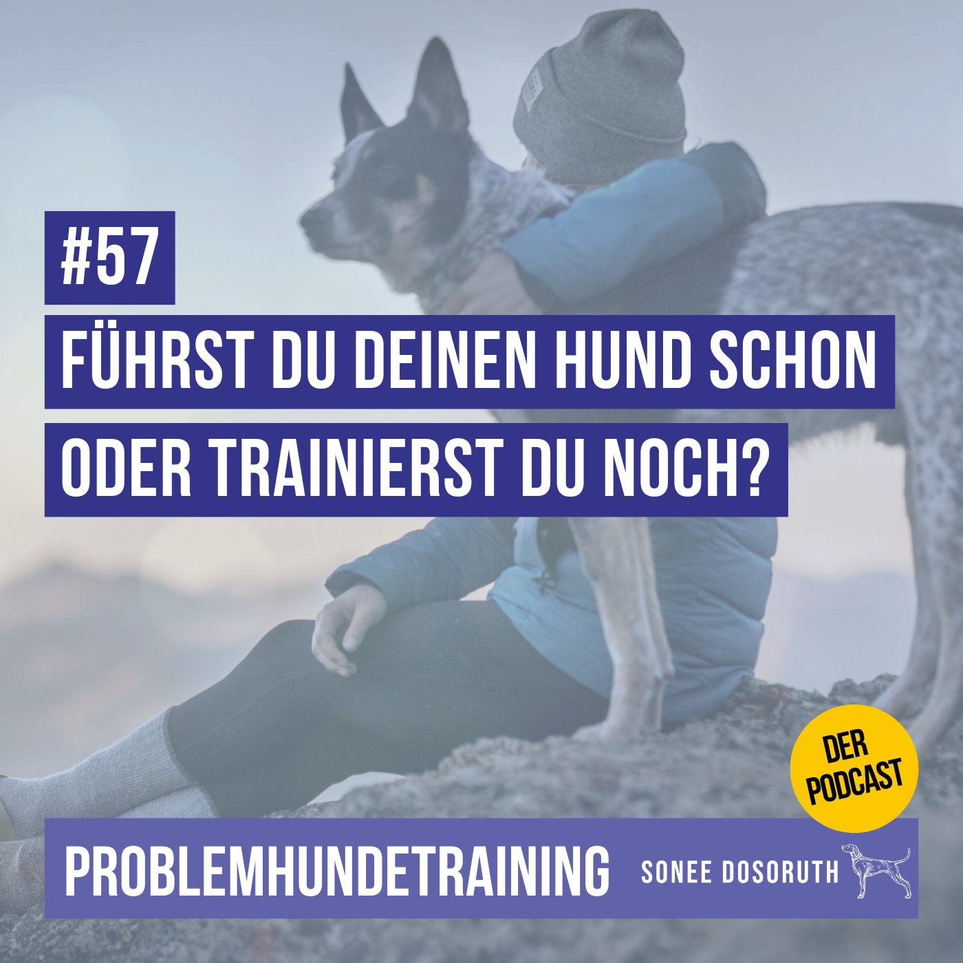 Führst du deinen Hund schon oder trainierst du noch?