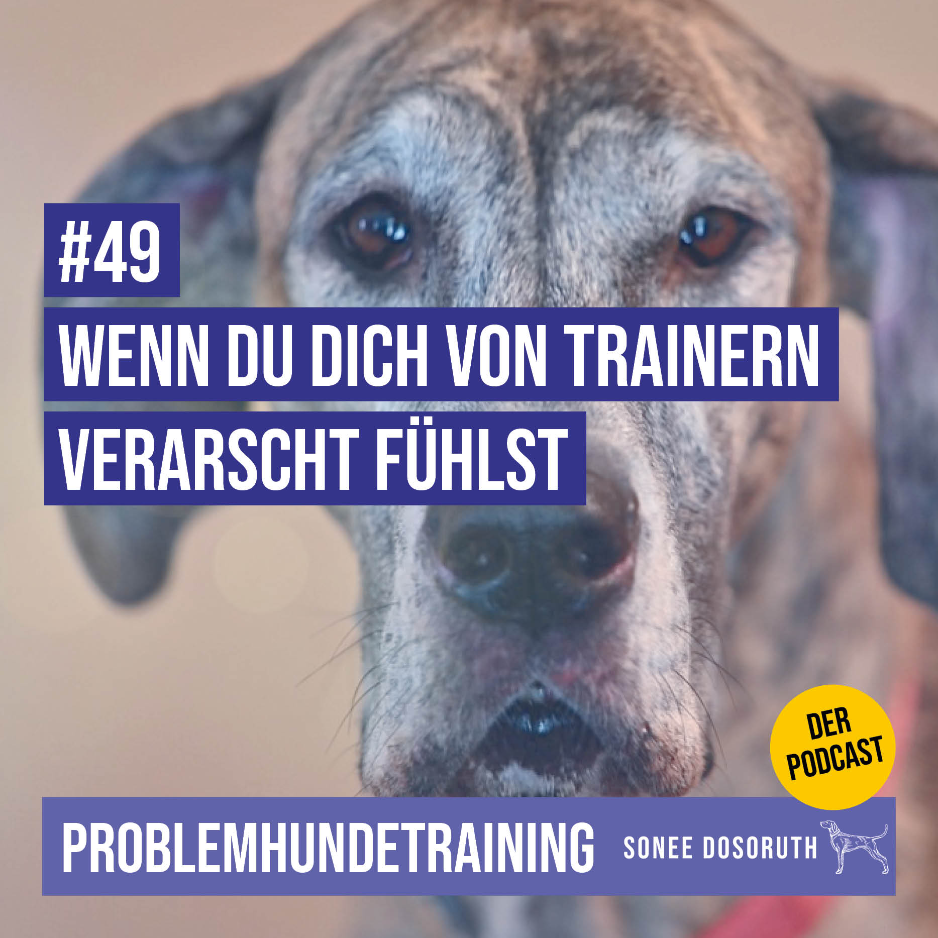 Wenn du dich von Trainern verarscht fühlst