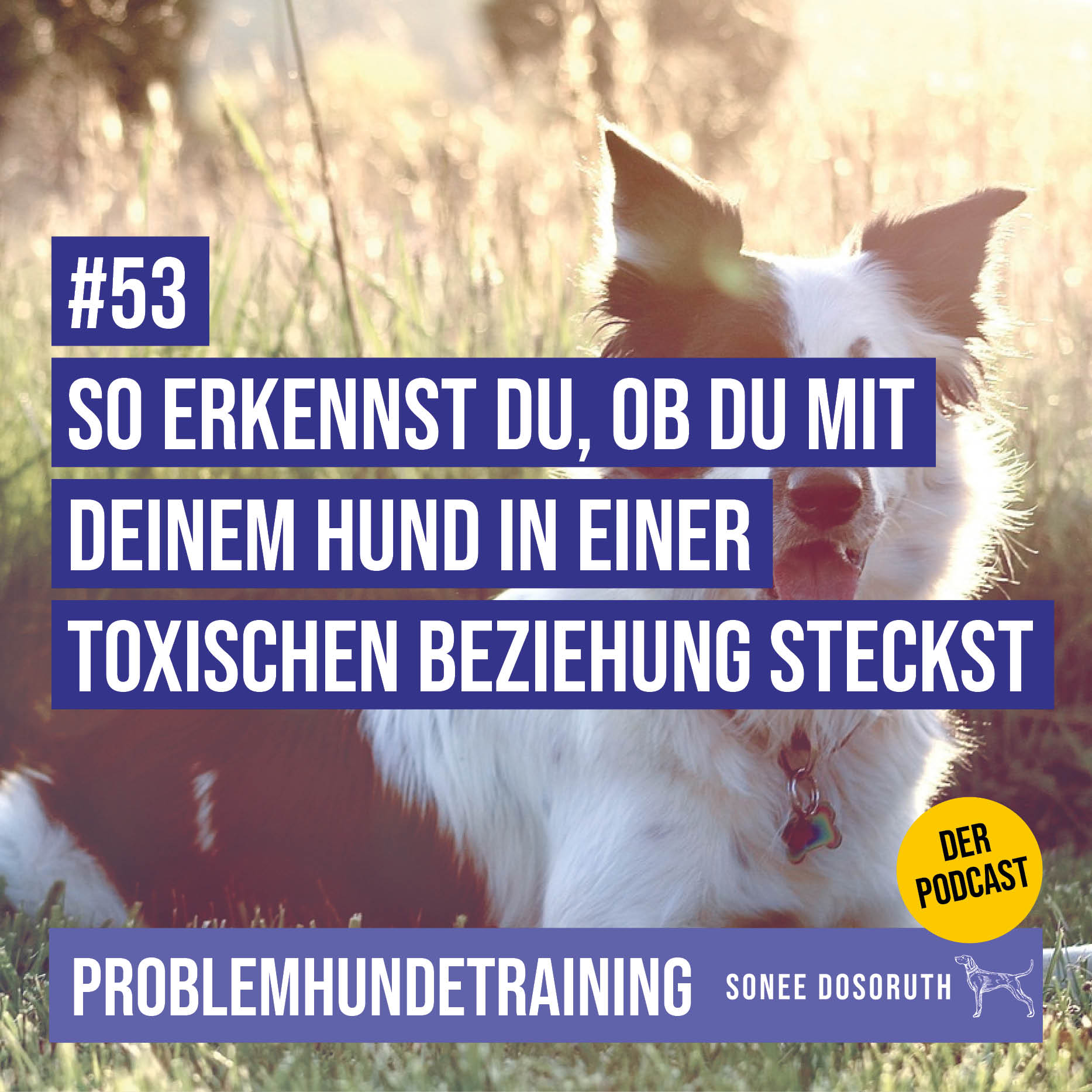 So erkennst du, ob du mit deinem Hund in einer toxischen Beziehung steckst