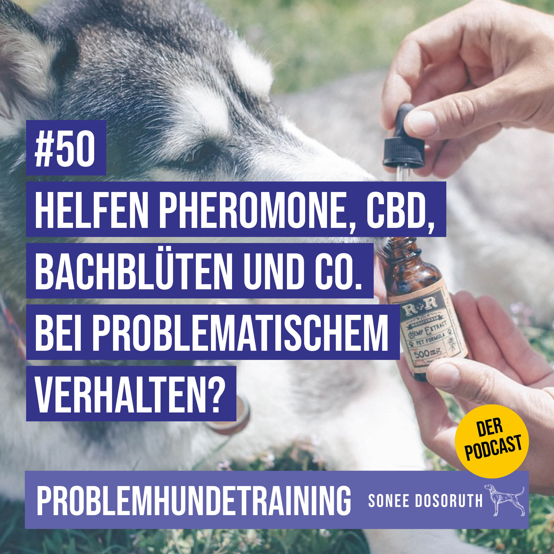 Helfen Pheromone, CBD, Bachblüten und co. bei problematischem Verhalten?