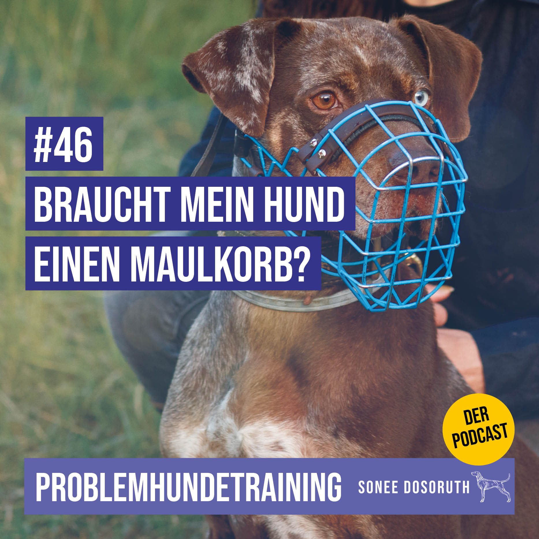 Braucht mein Hund einen Maulkorb?