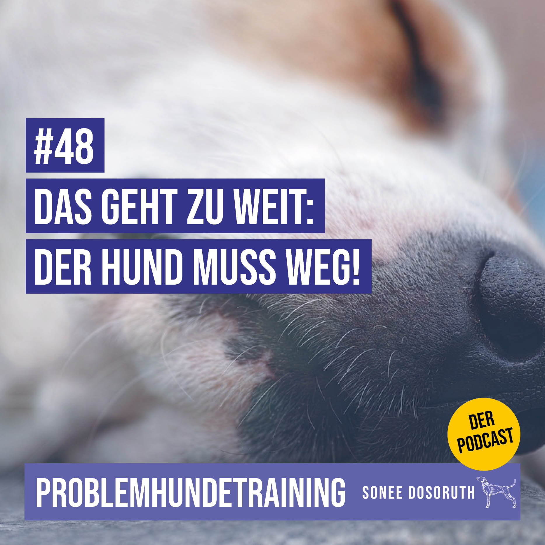 Das geht zu weit: Der Hund muss weg!