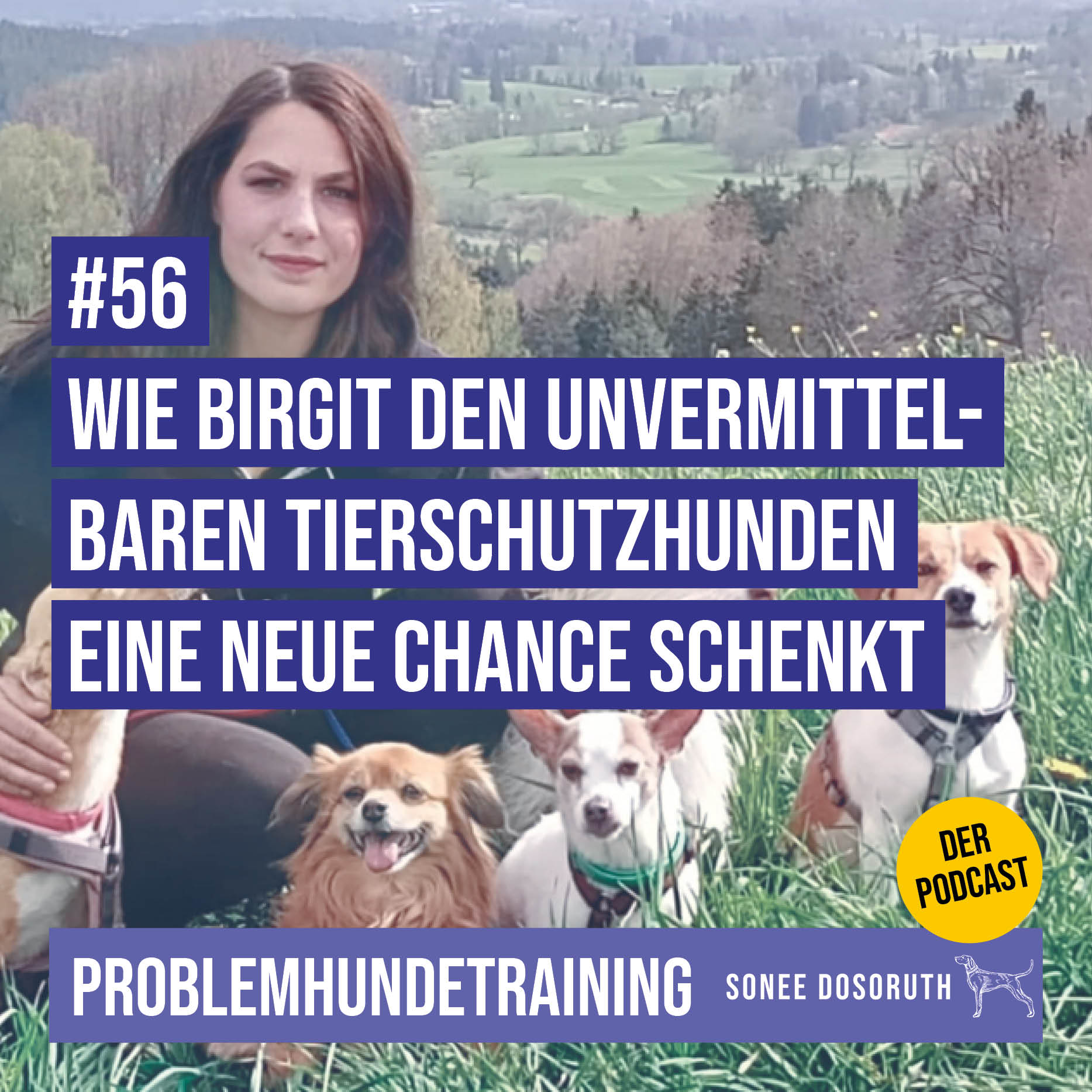 Wie Birgit den unvermittelbaren Tierschutzhunden eine neue Chance schenkt