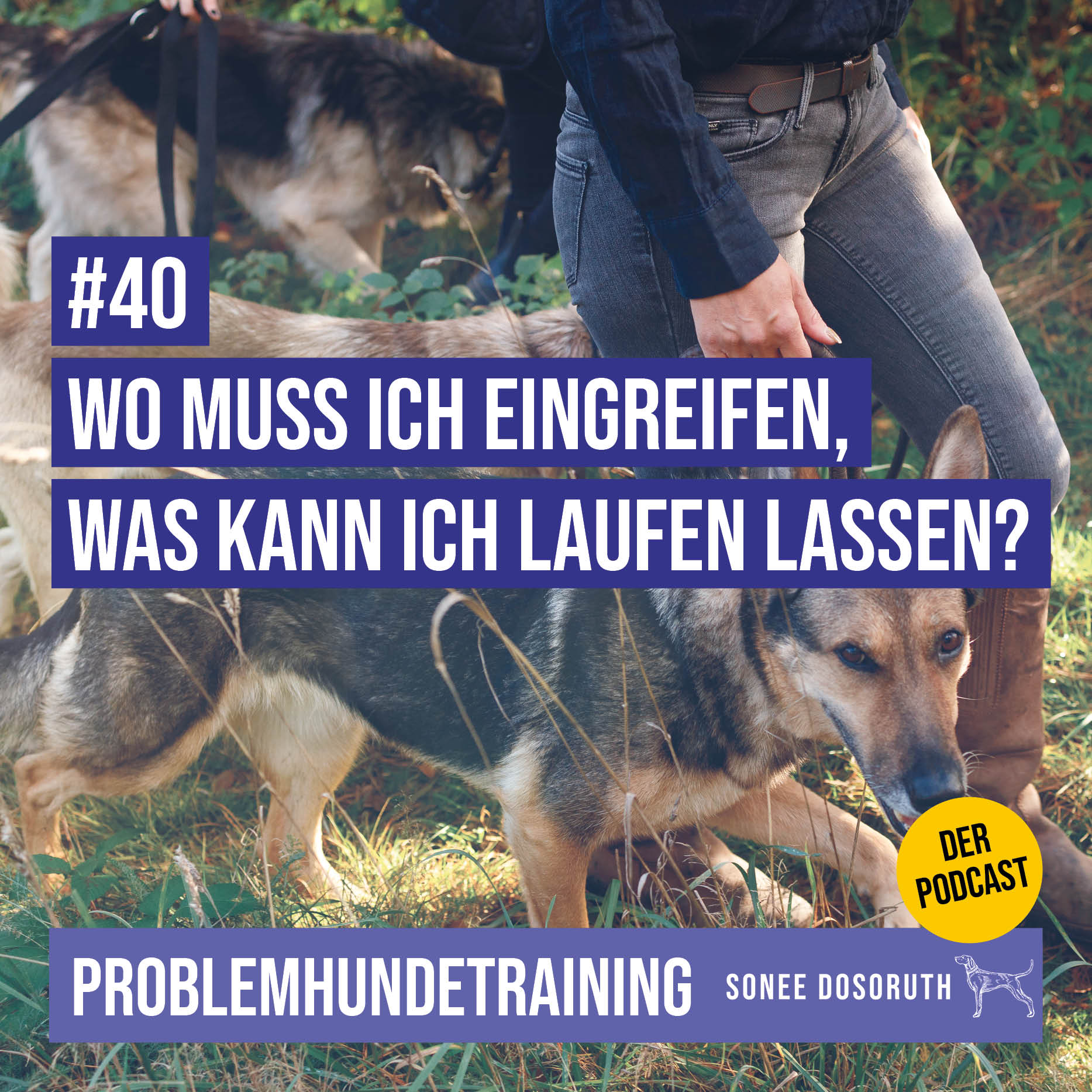 Wo muss ich eingreifen, was kann ich laufen lassen?