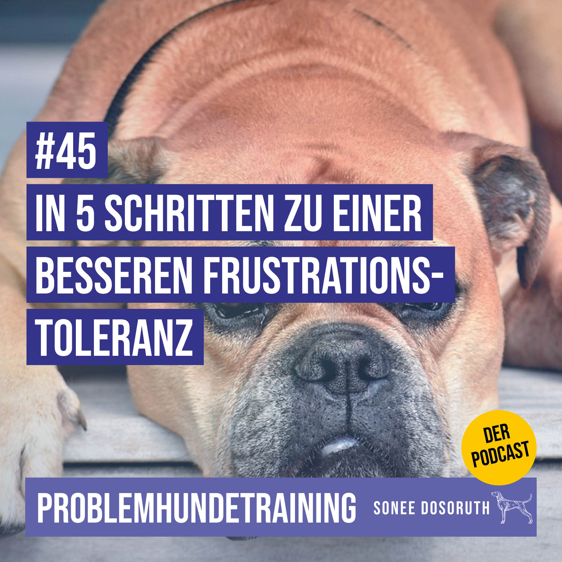In 5 Schritten zu einer besseren Frustrationstoleranz