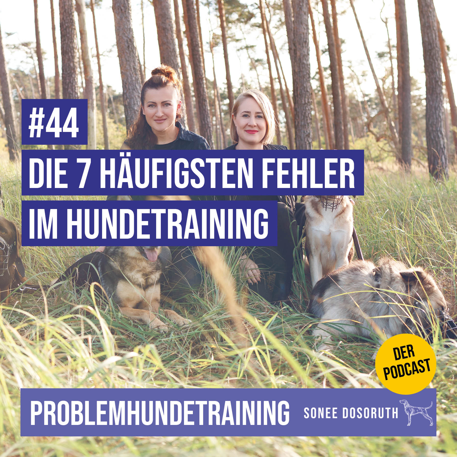 Die 7 häufigsten Fehler im Hundetraining