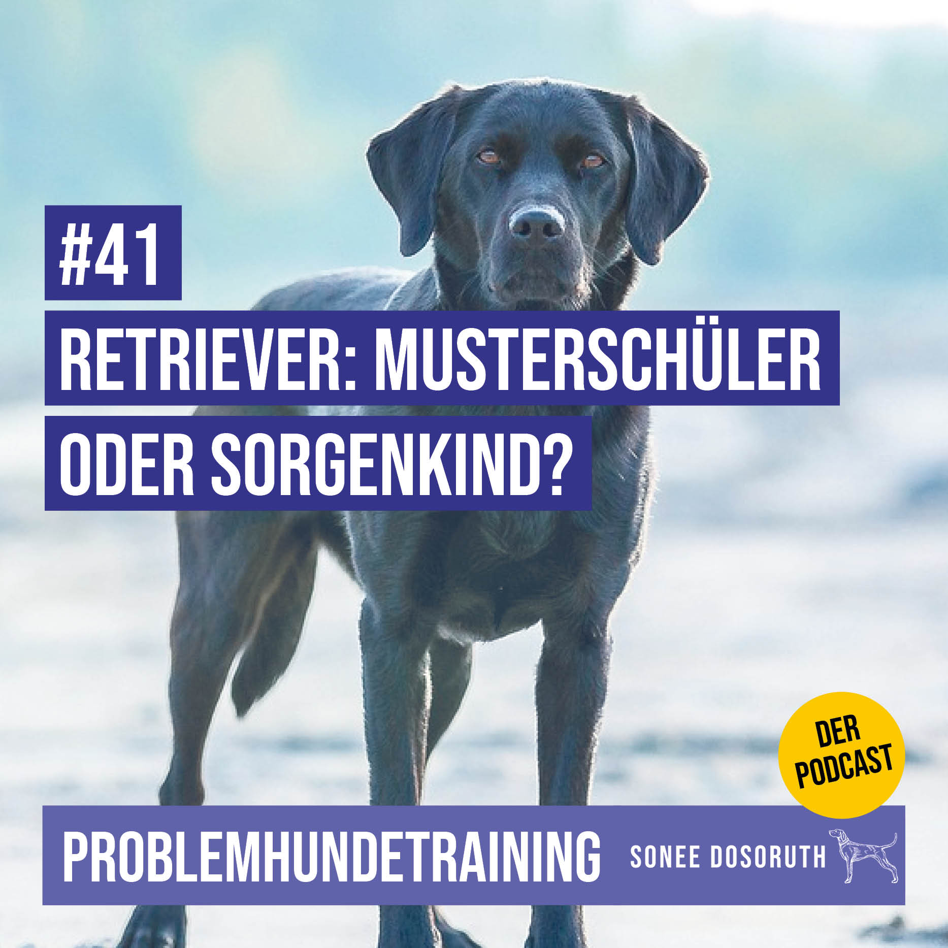 Retriever: Musterschüler oder Sorgenkind?