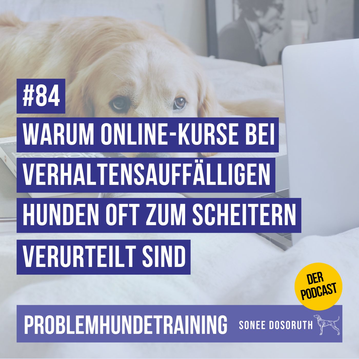 Warum Online-Kurse bei verhaltensauffälligen Hunden oft zum Scheitern verurteilt sind