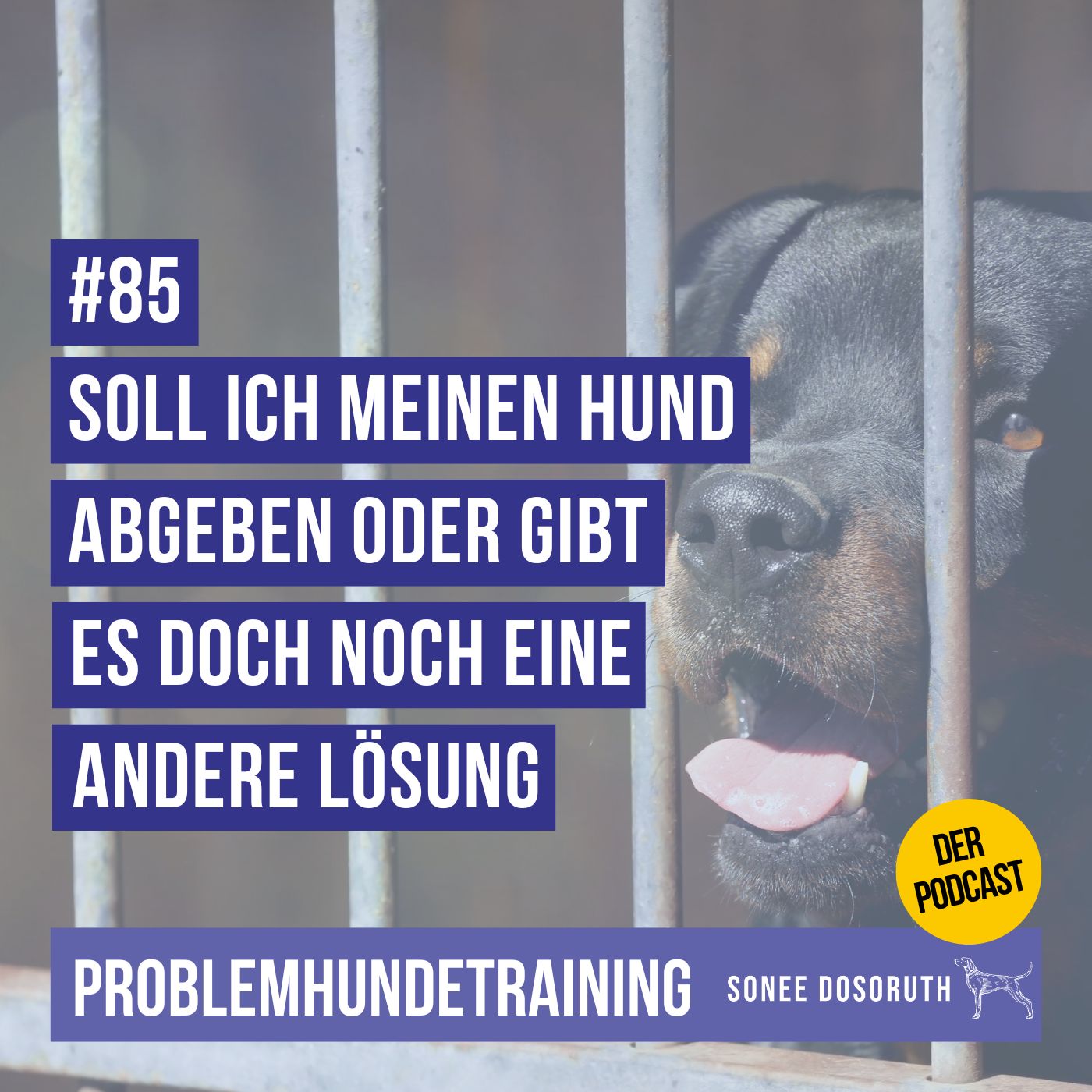 Soll ich meinen Hund abgeben oder gibt es vielleicht doch noch eine andere Lösung?