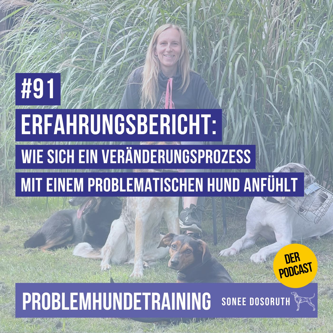 Erfahrungsbericht: Wie sich ein Veränderungsprozess mit einem problematischen Hund anfühlt
