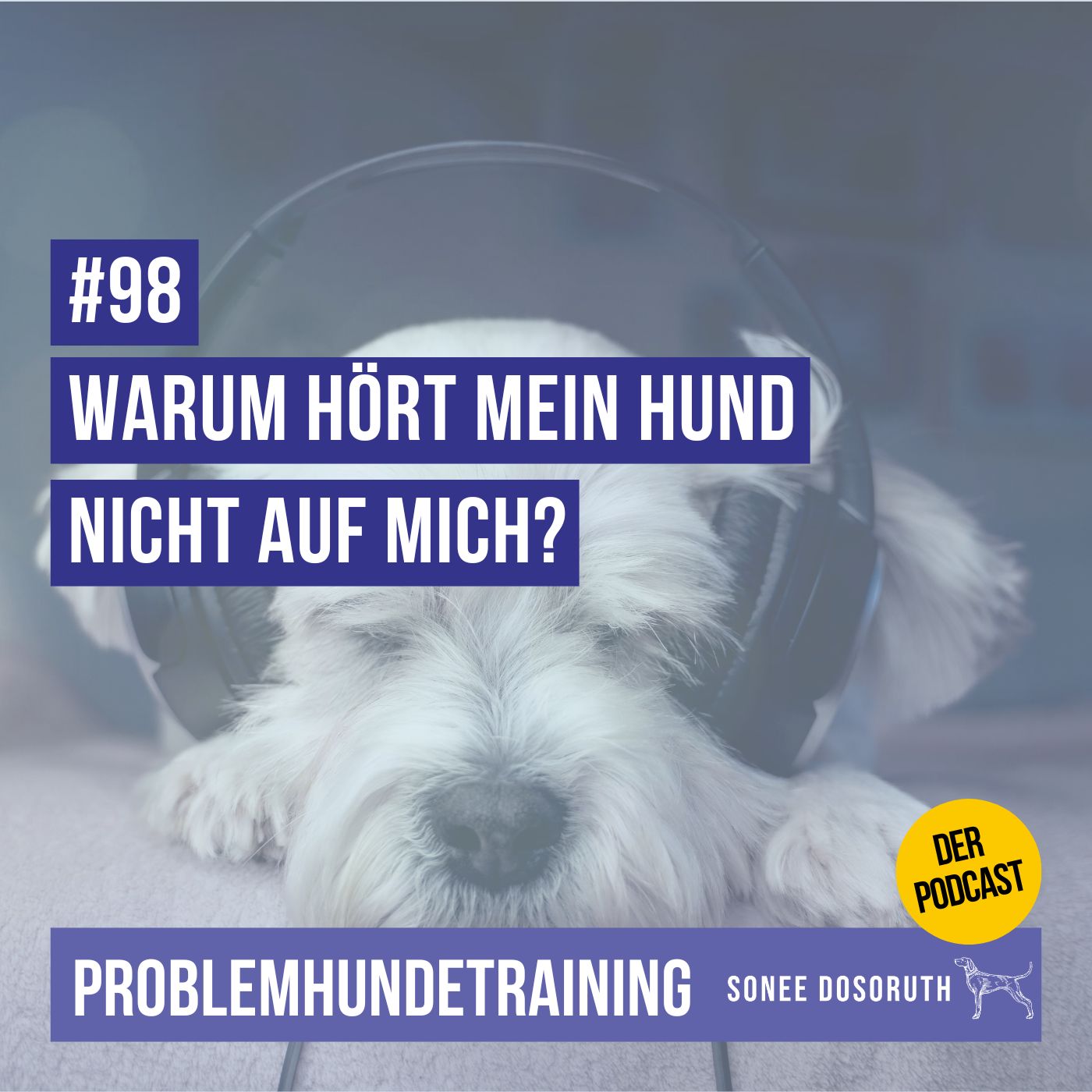Warum hört mein Hund nicht auf mich?
