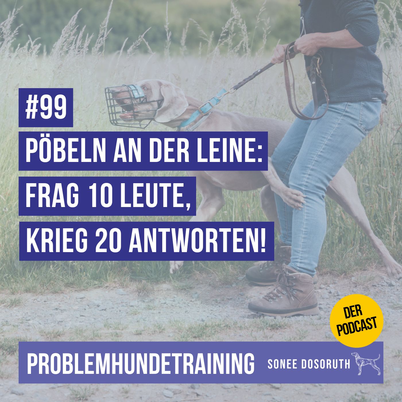 Pöbeln an der Leine - Frag 10 Leute, krieg 20 Antworten!