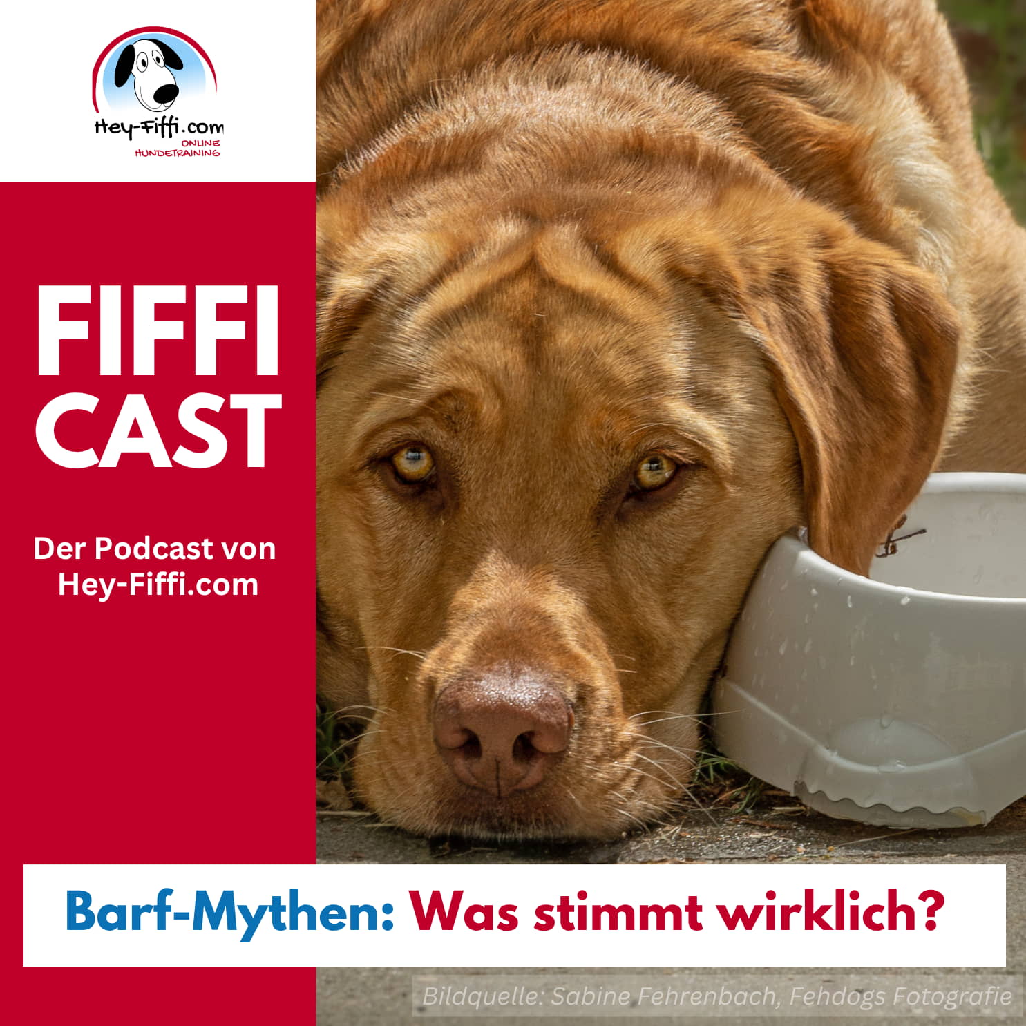 Barf-Mythen: Was stimmt wirklich? episode artwork