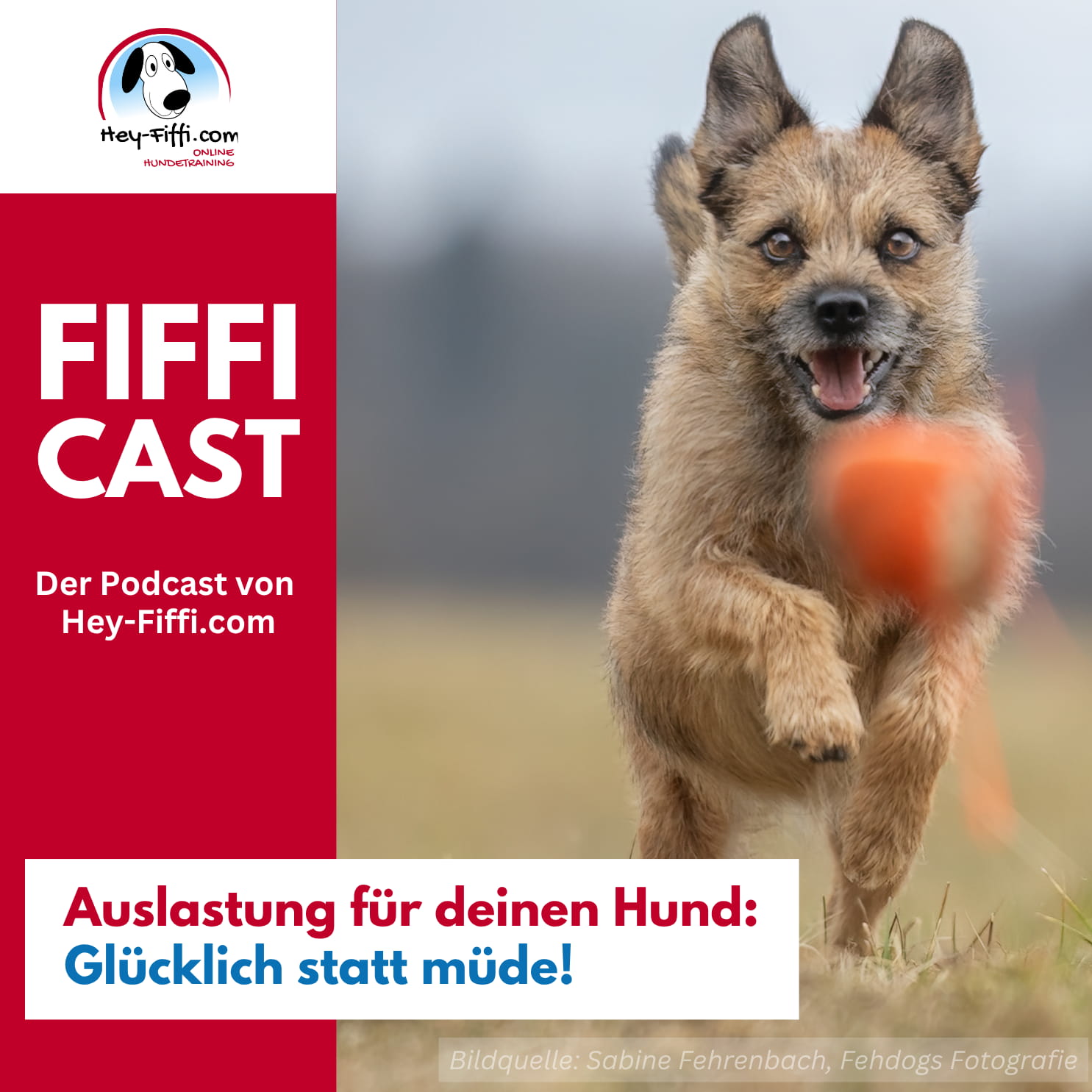Auslastung für deinen Hund: Glücklich statt müde! episode artwork