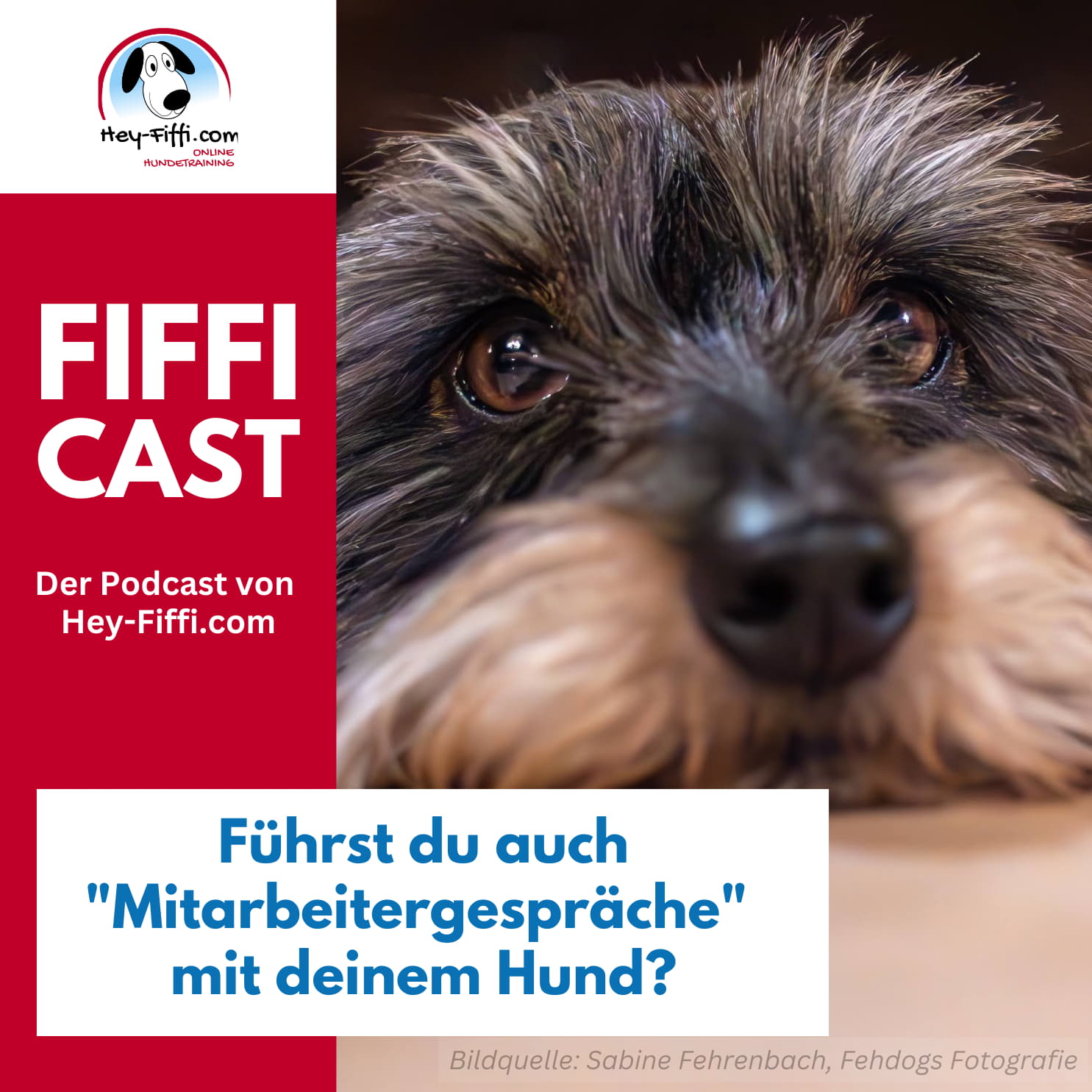 Führst du auch „Mitarbeitergespräche“ mit deinem Hund? episode artwork