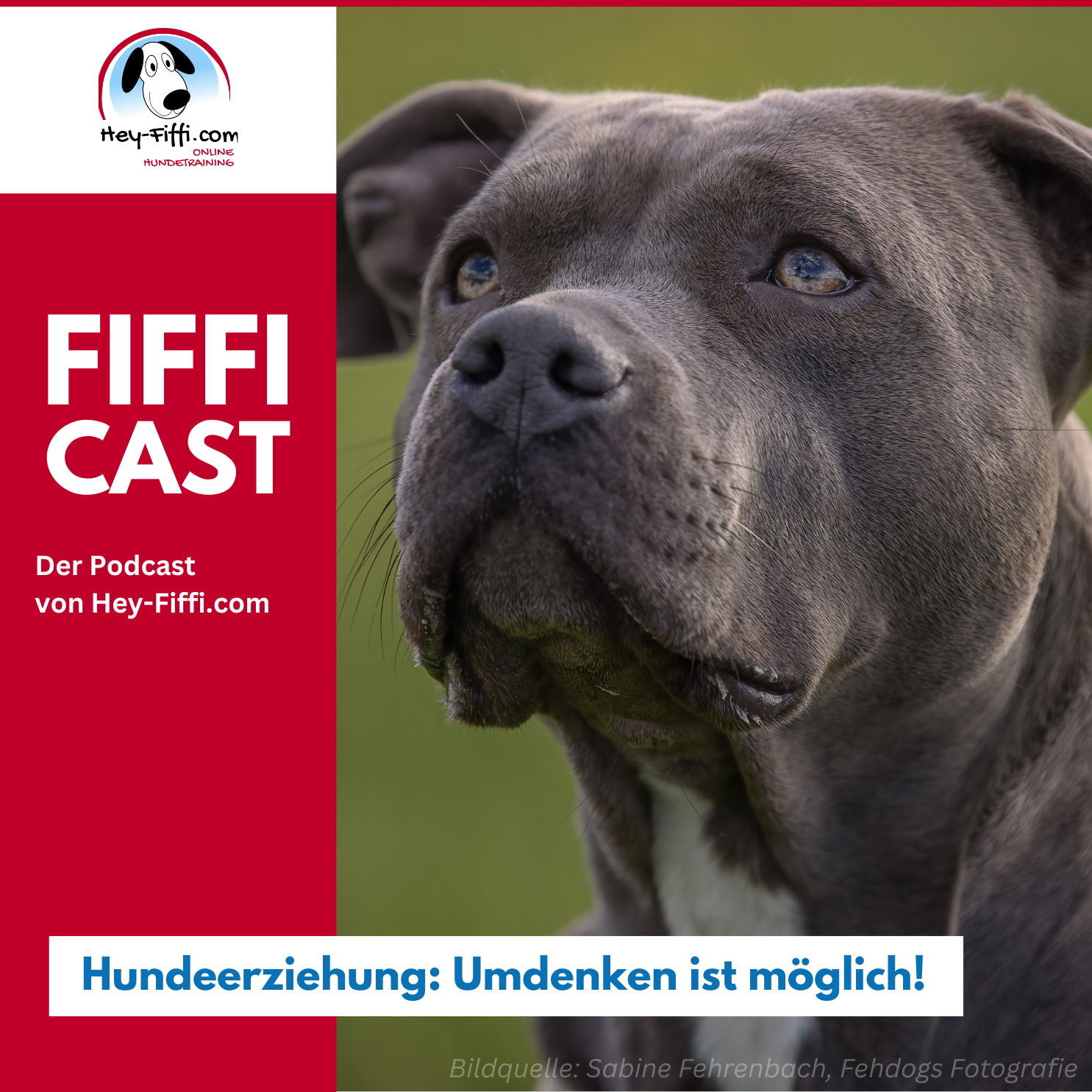Hundeerziehung: Umdenken ist möglich! episode artwork
