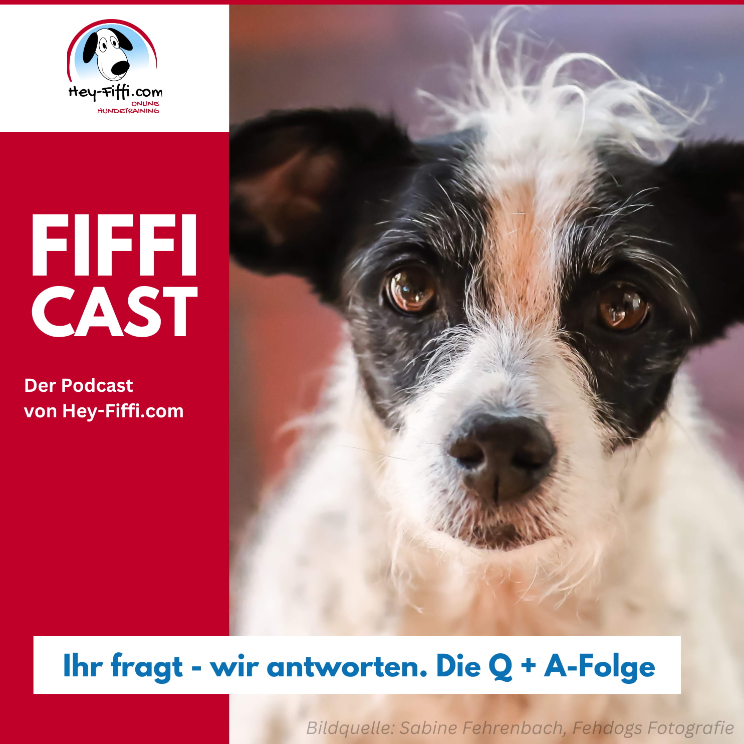 Ihr fragt - wir antworten Die Q + A-Folge episode artwork