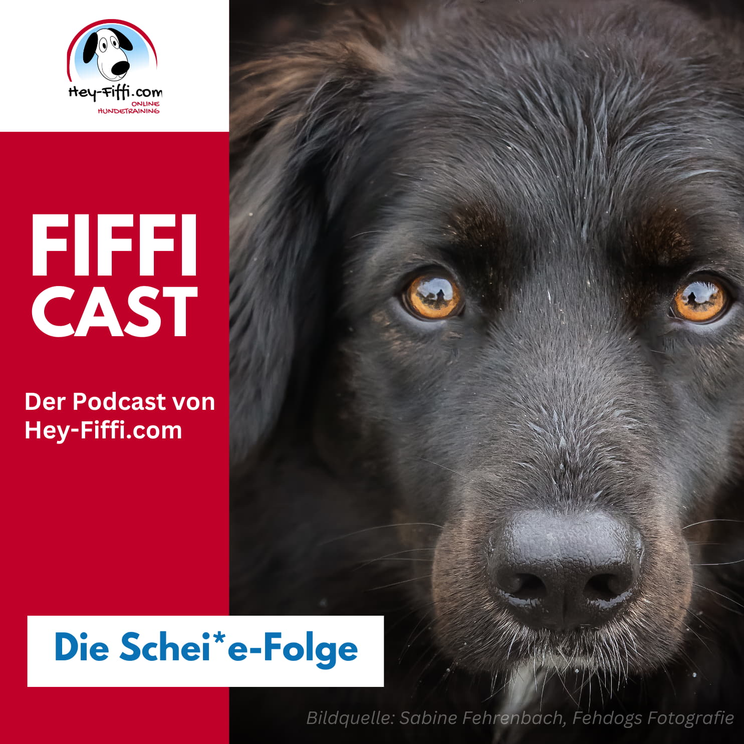 Die Schei*e-Folge episode artwork
