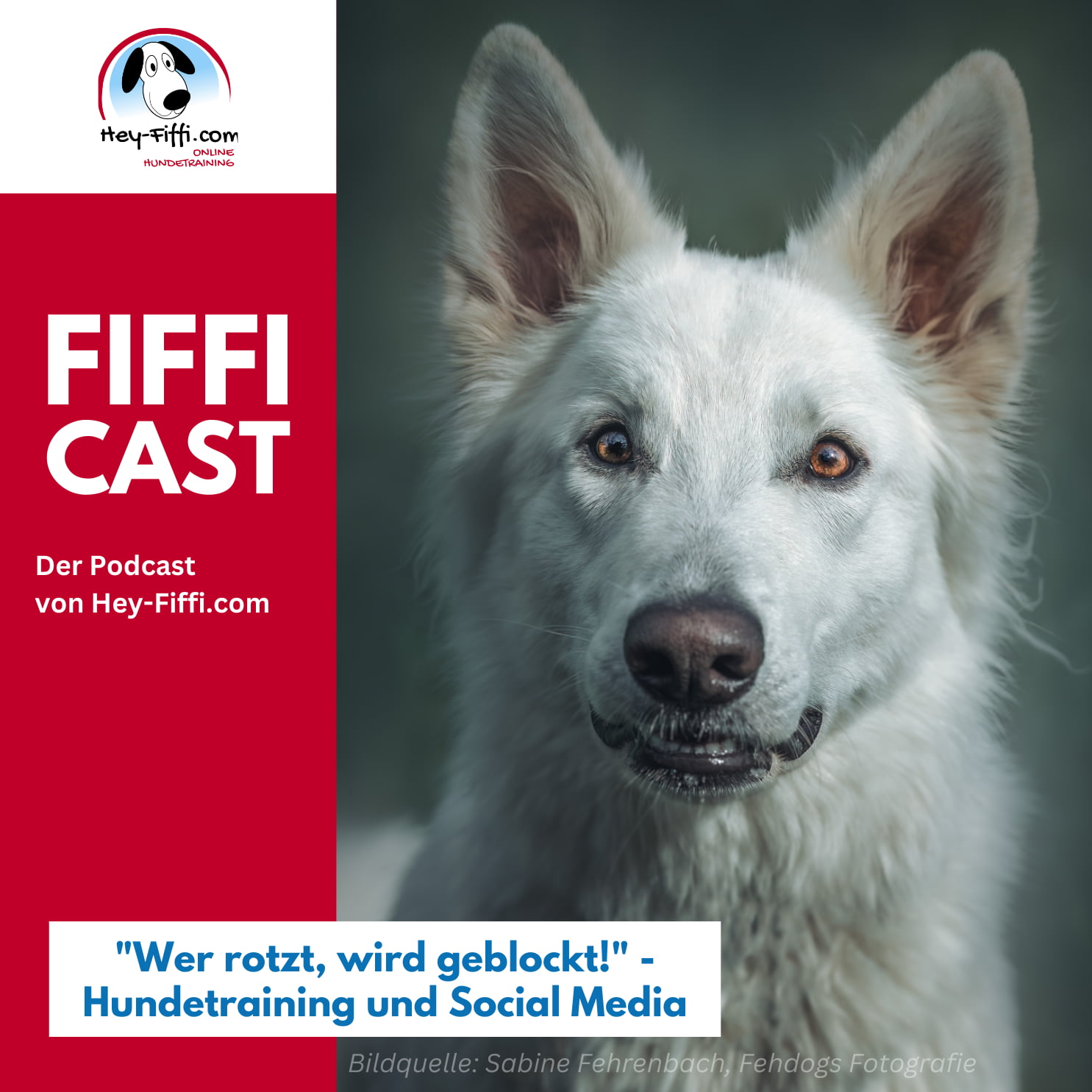 „Wer rotzt, wird geblockt!“ – Hundetraining und Social Media episode artwork