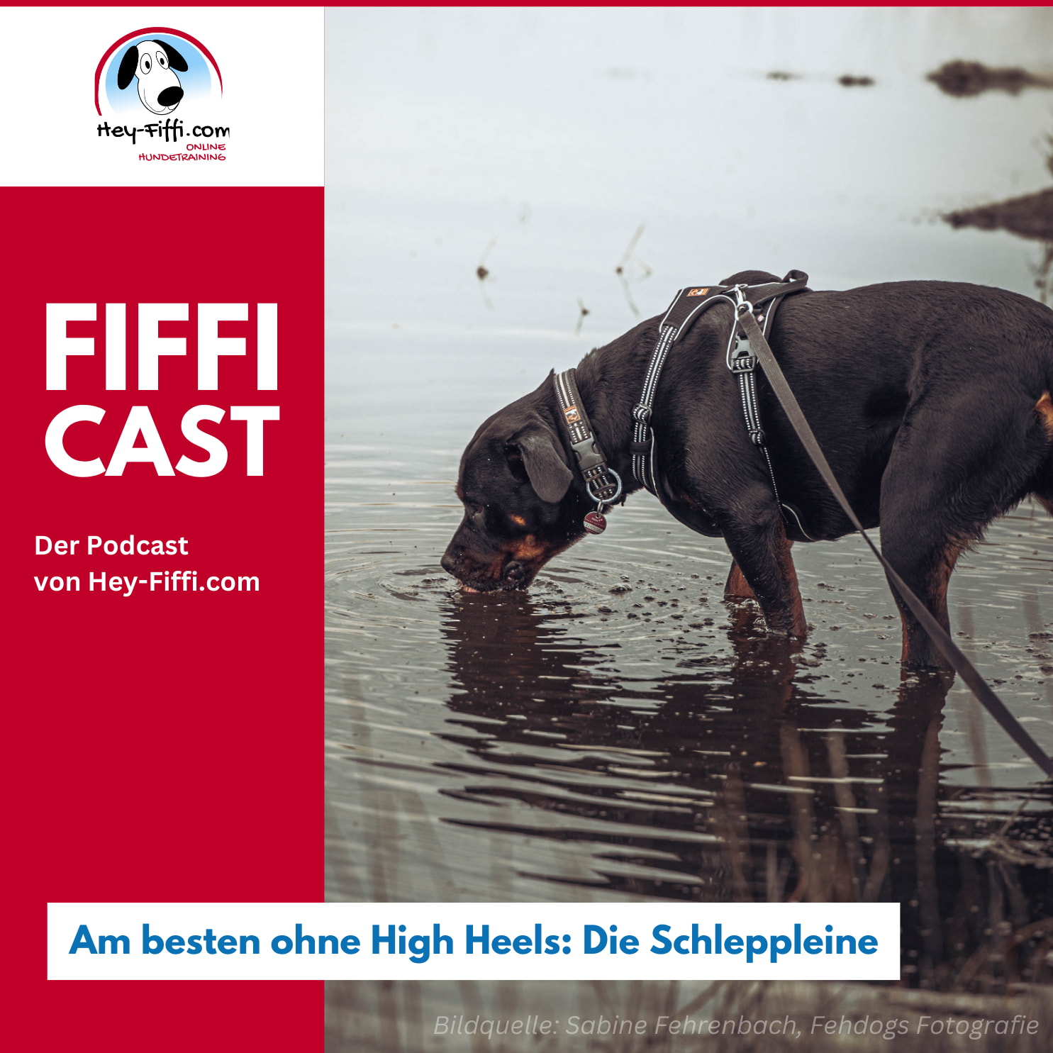 Am besten ohne High Heels: Die Schleppleine episode artwork