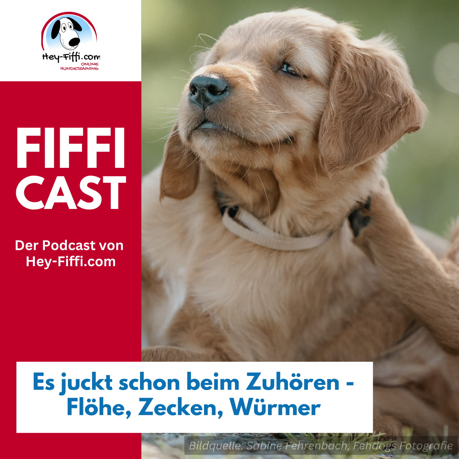 Es juckt schon beim Zuhören - Flöhe, Zecken, Würmer - beim Hund episode artwork