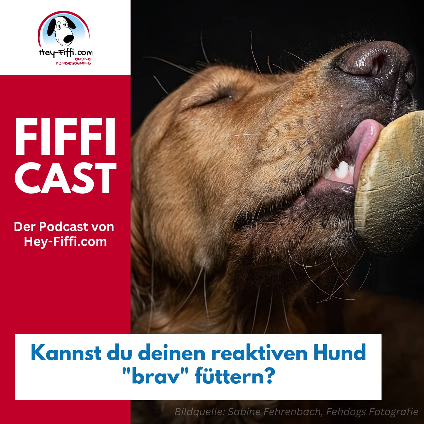 Kannst du deinen reaktiven Hund "brav" füttern? episode artwork