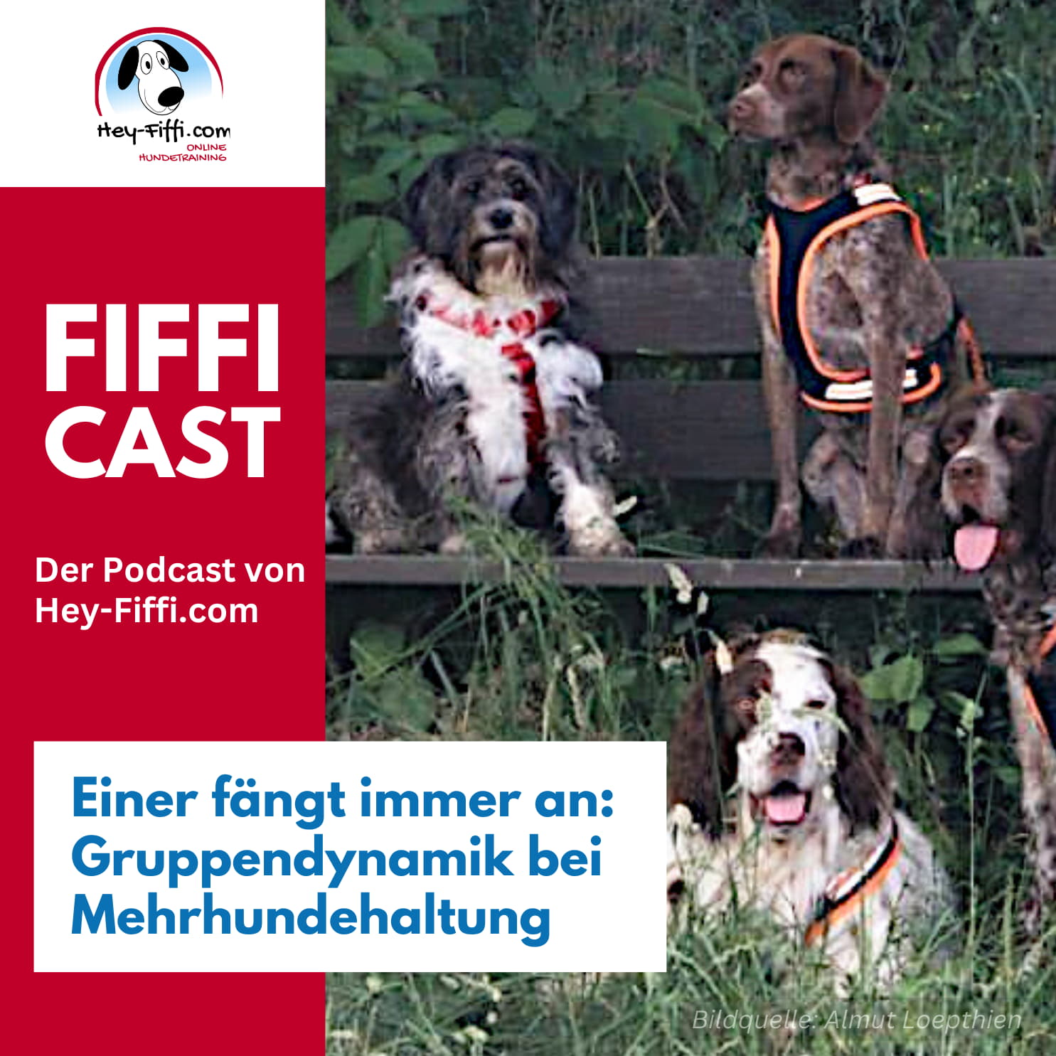 Einer fängt immer an: Gruppendynamik bei Mehrhundehaltung episode artwork