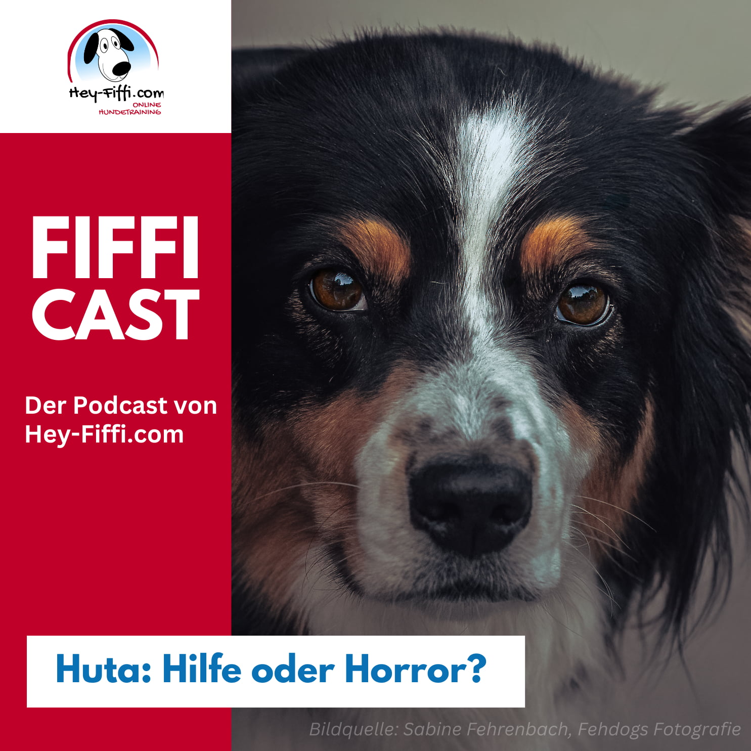 Huta: Hilfe oder Horror? episode artwork