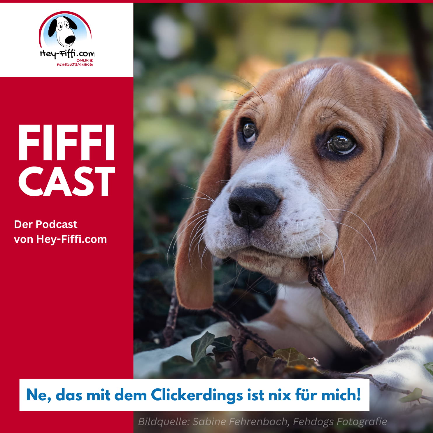 Ne, das mit dem Clickerdings ist nix für mich! episode artwork