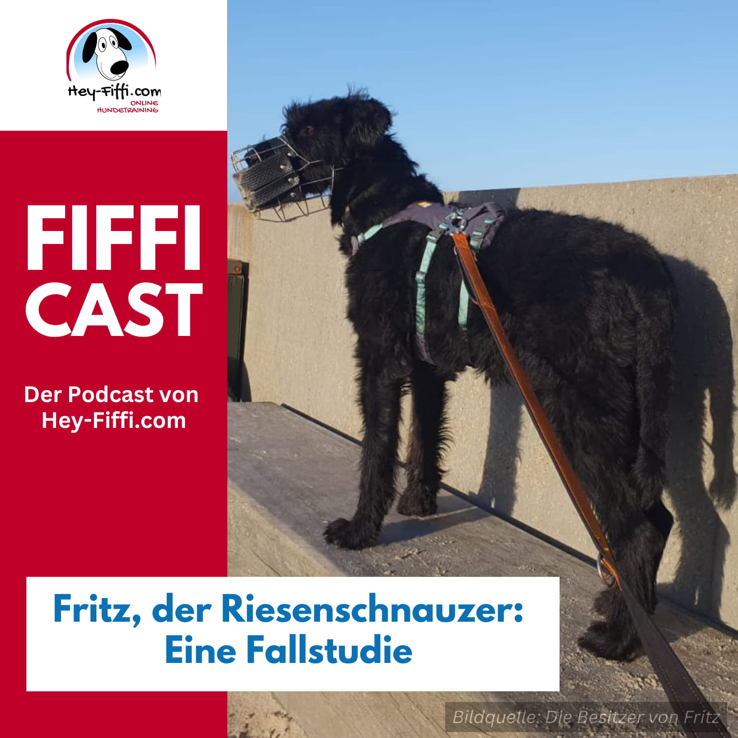 Fritz, der Riesenschnauzer: Eine Fallstudie episode artwork
