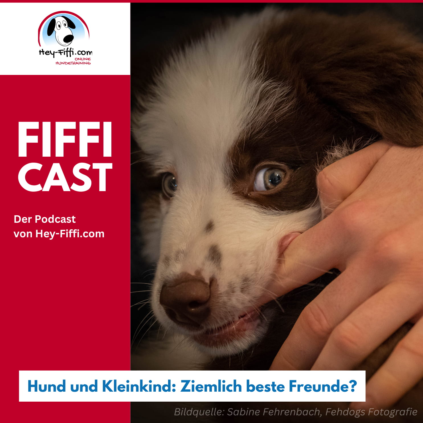Hund und Kleinkind: Ziemlich beste Freunde episode artwork