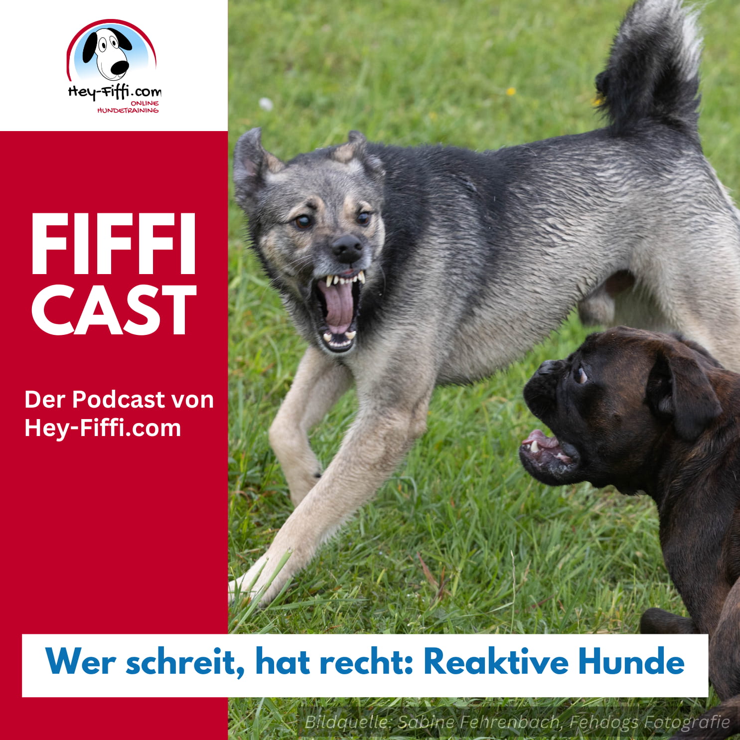 Wer schreit, hat recht: Reaktive Hunde episode artwork