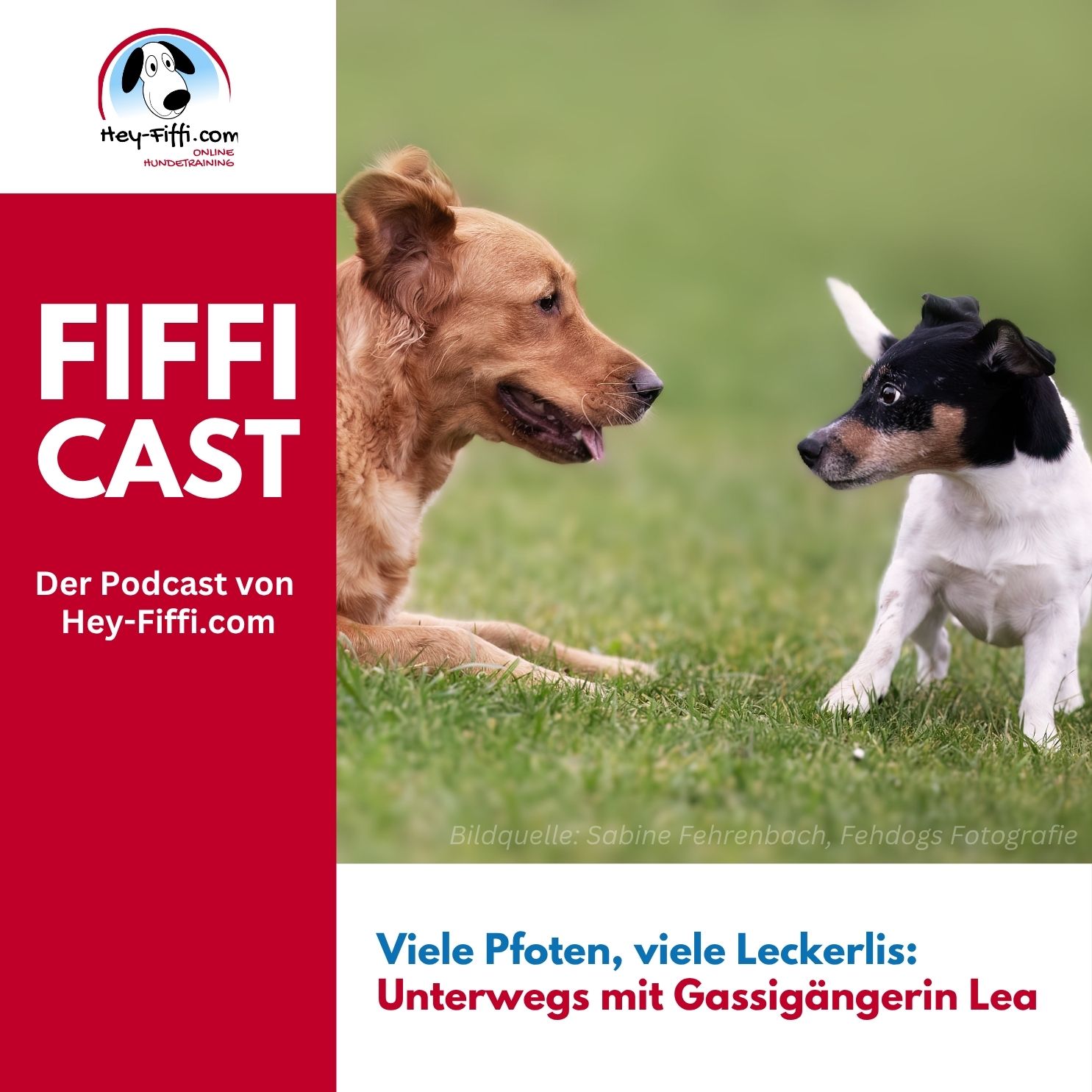 Viele Pfoten, viele Leckerlis: Unterwegs mit Gassigängerin Lea episode artwork