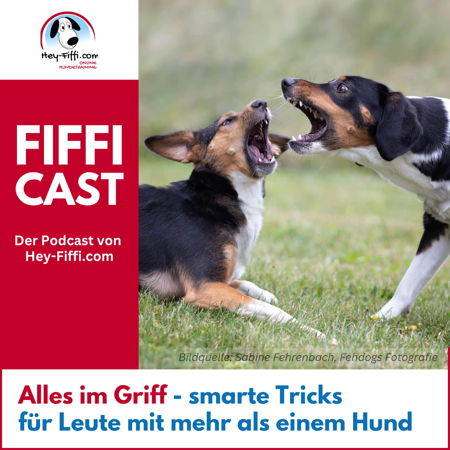 Alles im Griff – smarte Tricks für Leute mit mehr als einem Hund episode artwork