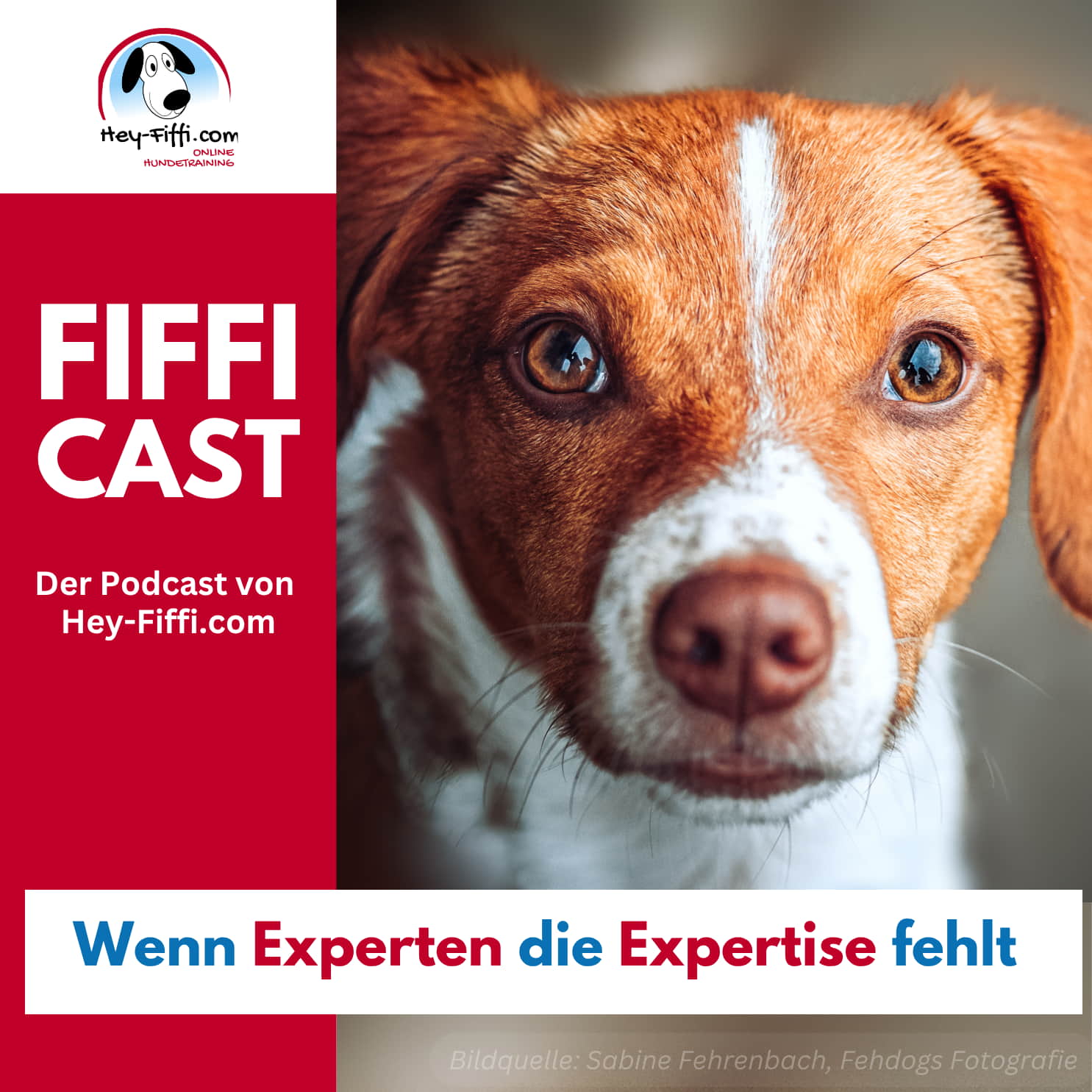 Wenn Experten die Expertise fehlt episode artwork