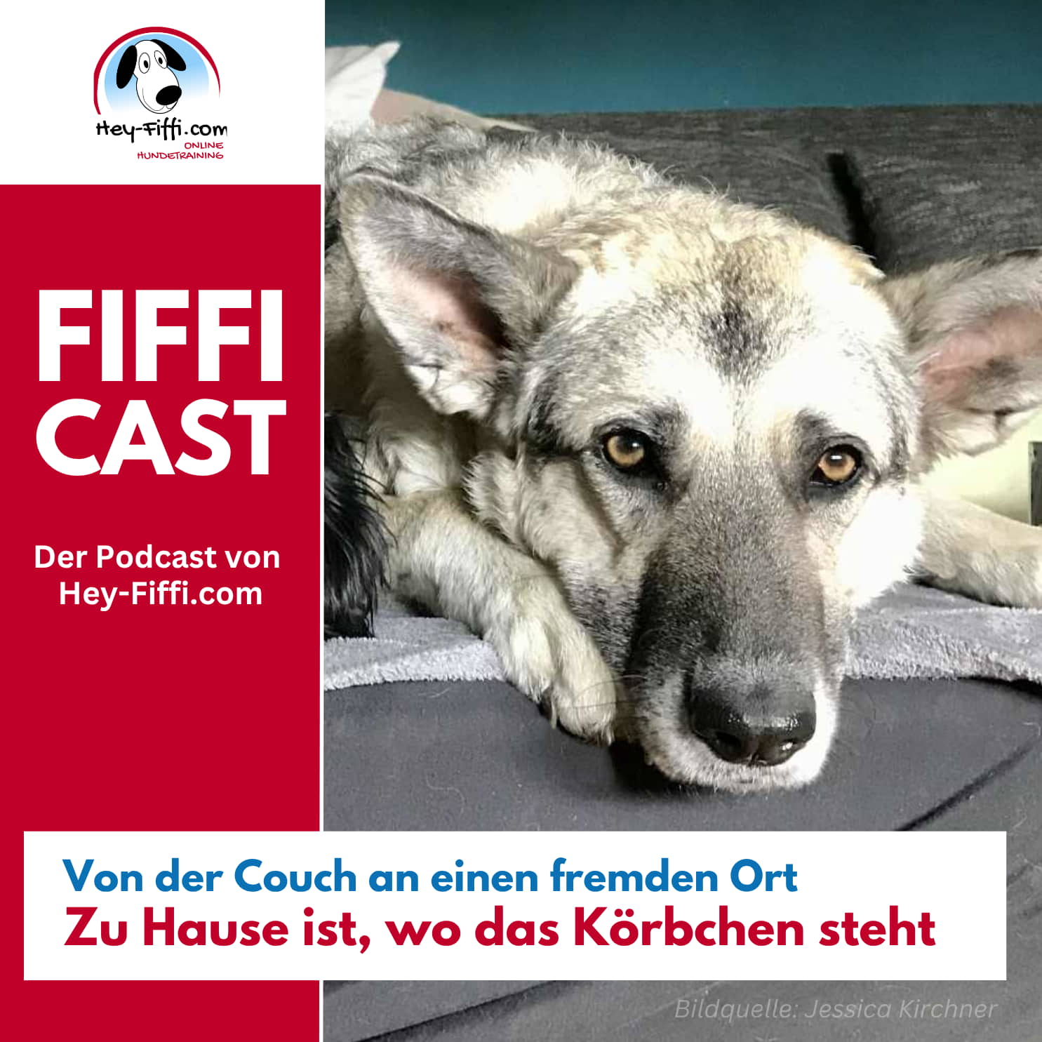Von der Couch an einen fremden Ort - Zu Hause ist, wo das Körbchen steht episode artwork
