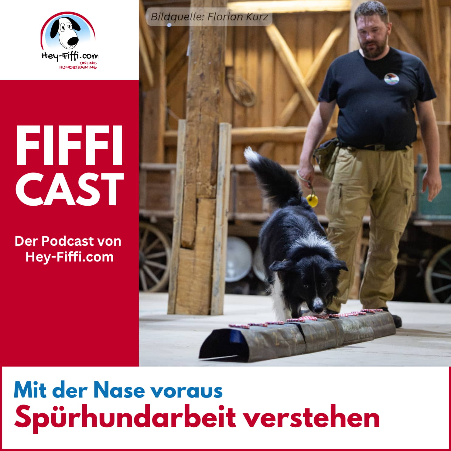 Mit der Nase voraus – Spürhundarbeit verstehen episode artwork