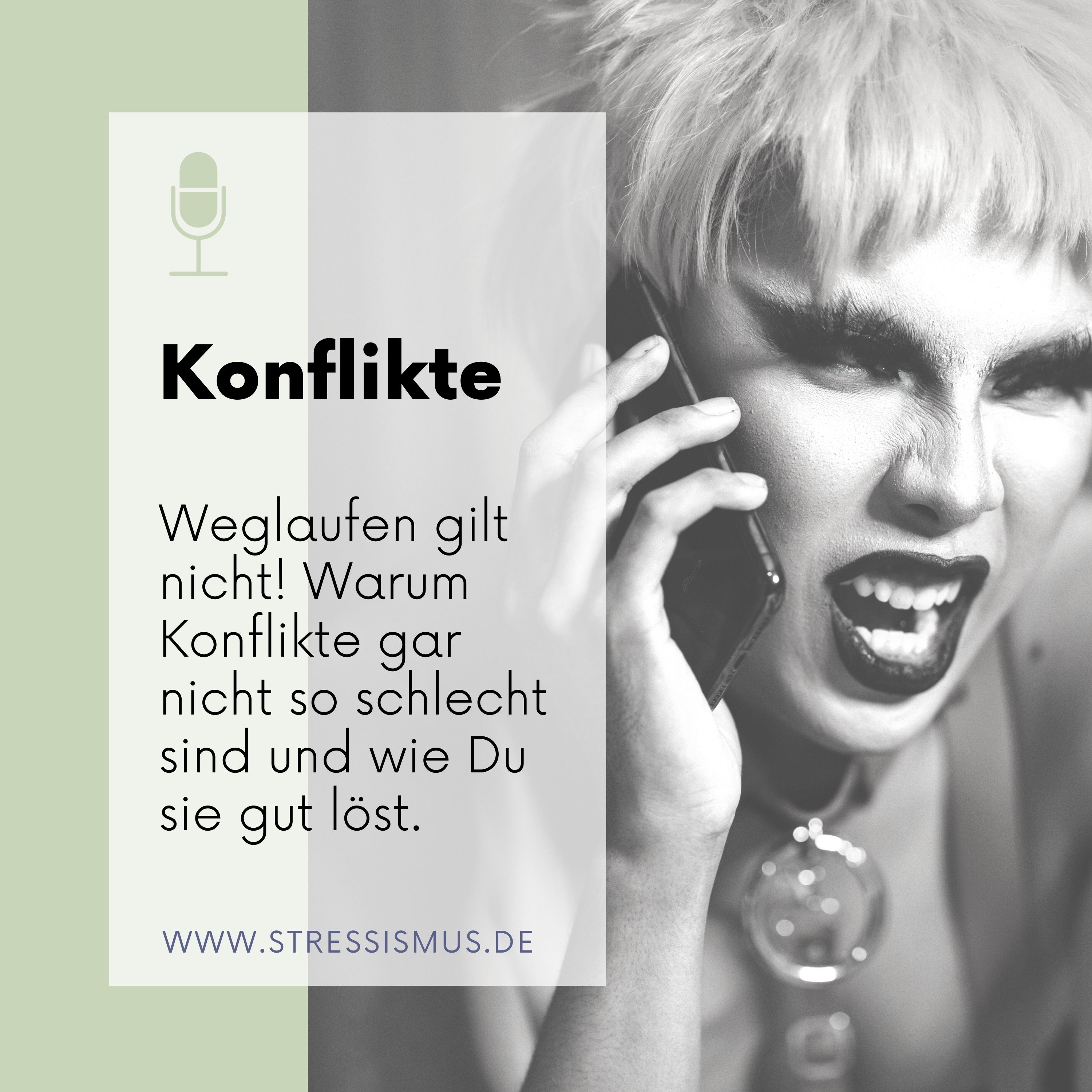 #53 Wenn Dich Konflikte stressen... episode artwork