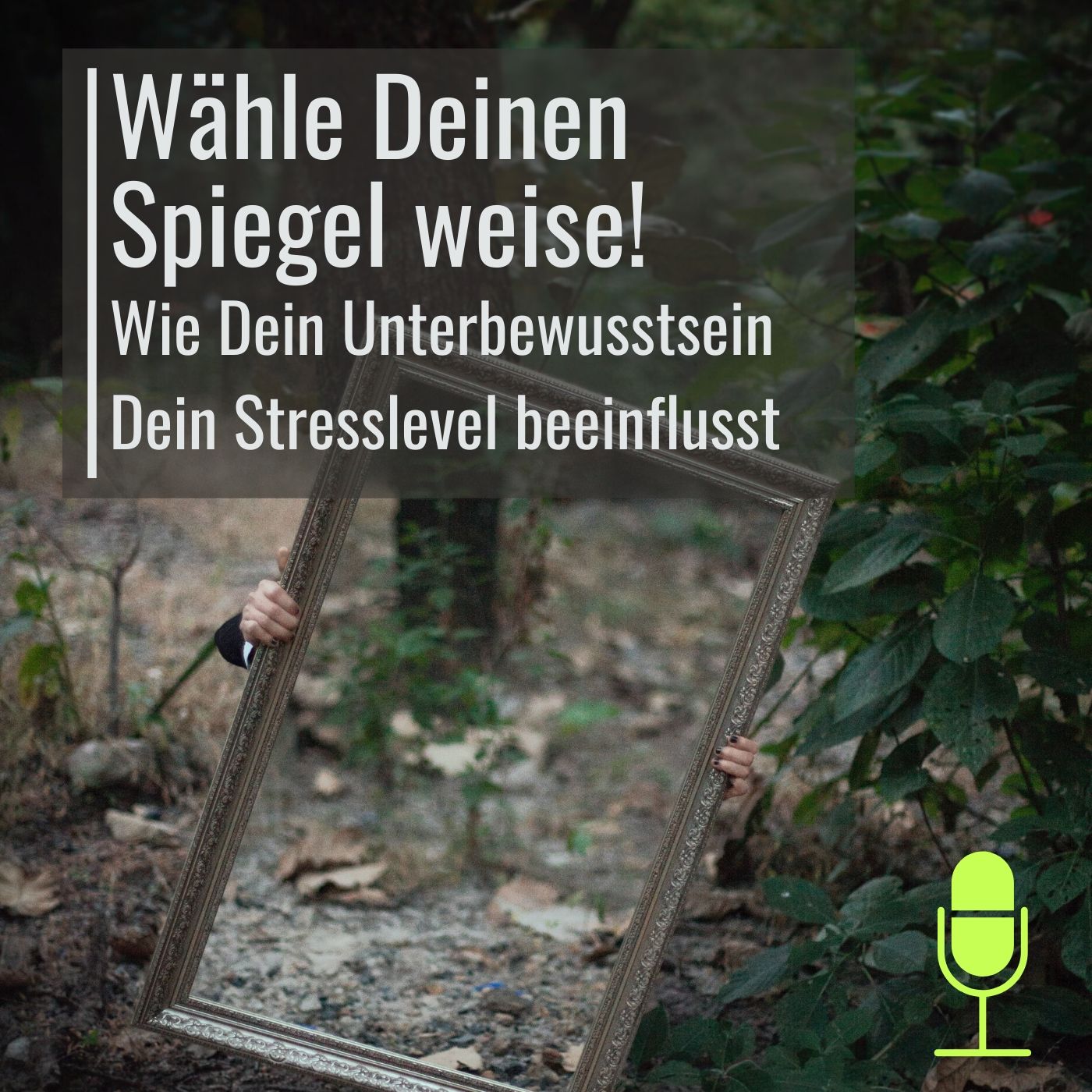 #17 Teil 2: Wie Glaubenssätze Deinen Stress beeinflussen episode artwork