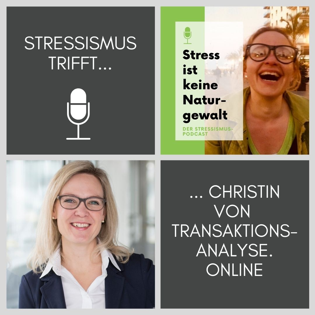 #41 Interview über Antreiber, Transaktionsanalyse und Stress episode artwork