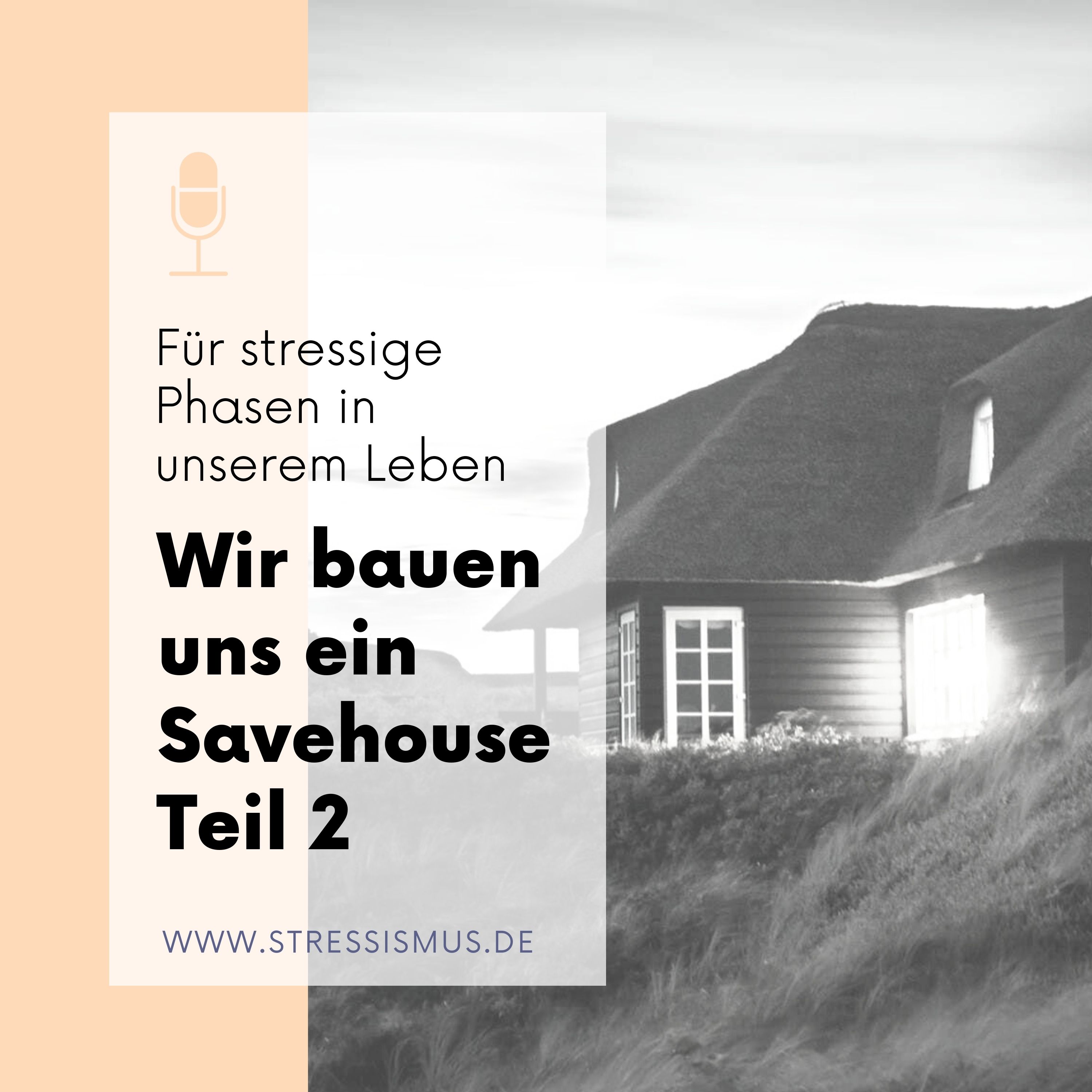 #55 Wir bauen uns ein Stress-Savehouse, Teil 2 episode artwork