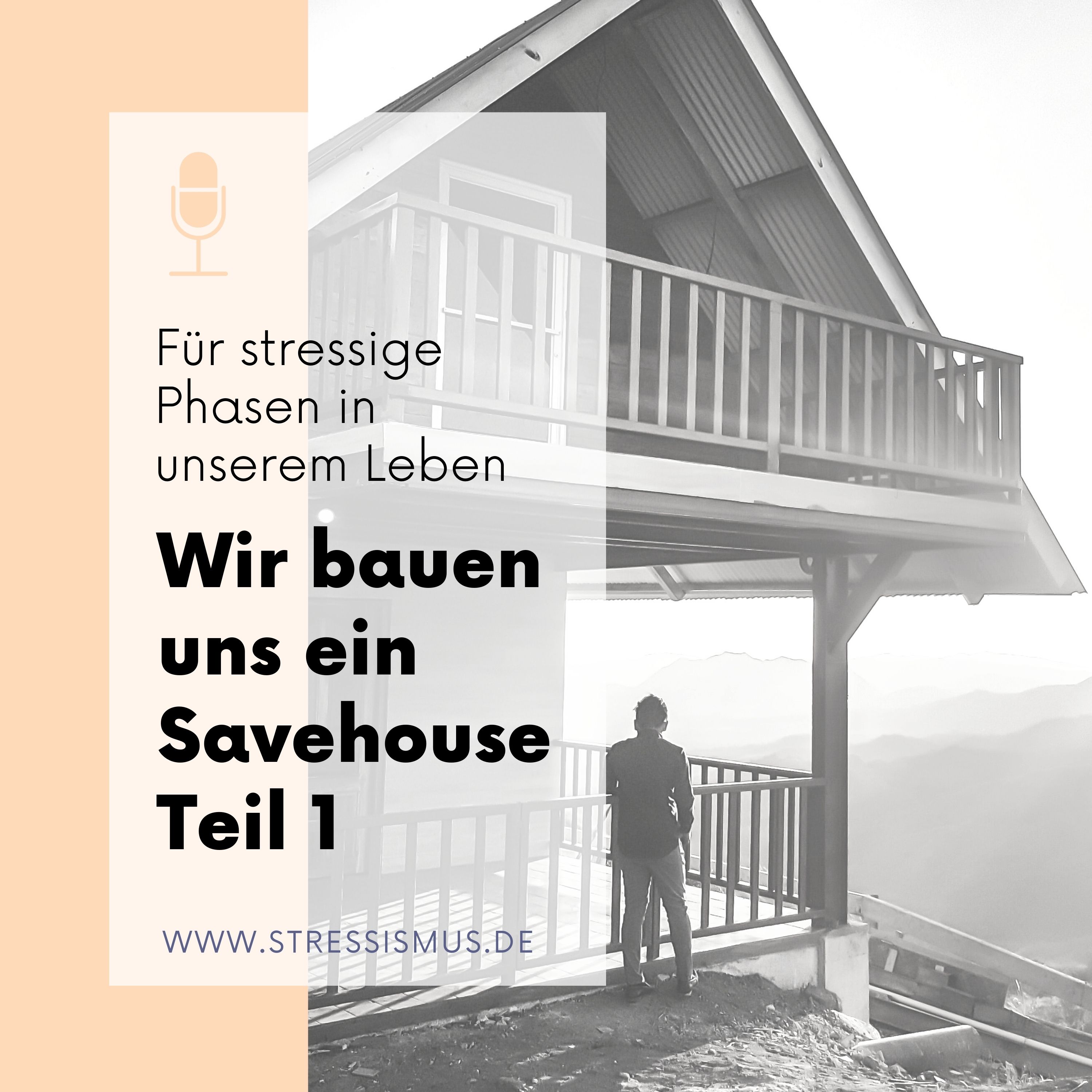 #54 Wir bauen uns ein Stress-Savehouse, Teil 1 episode artwork