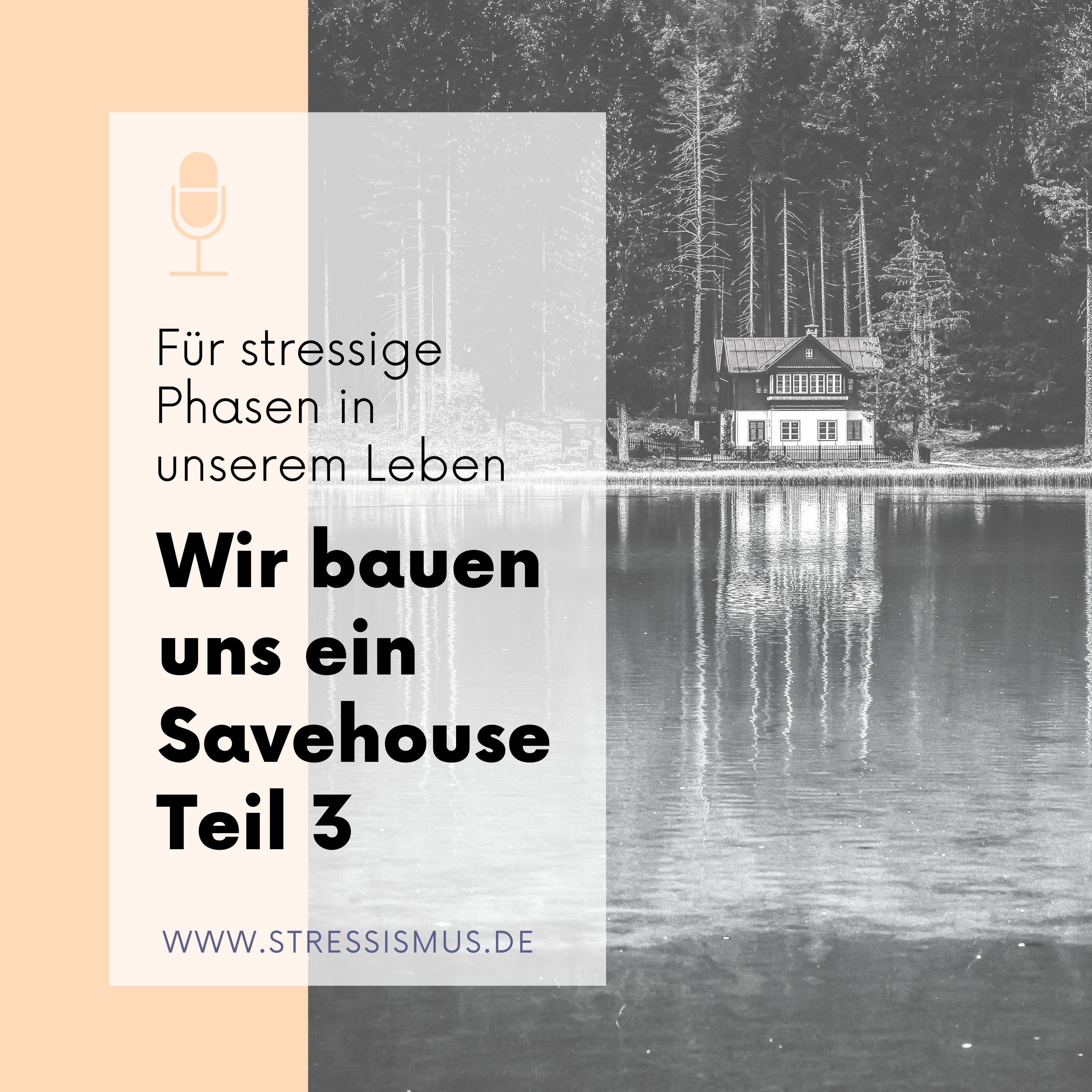 #58 Wir bauen uns ein Stress-Savehouse, Teil 3 episode artwork