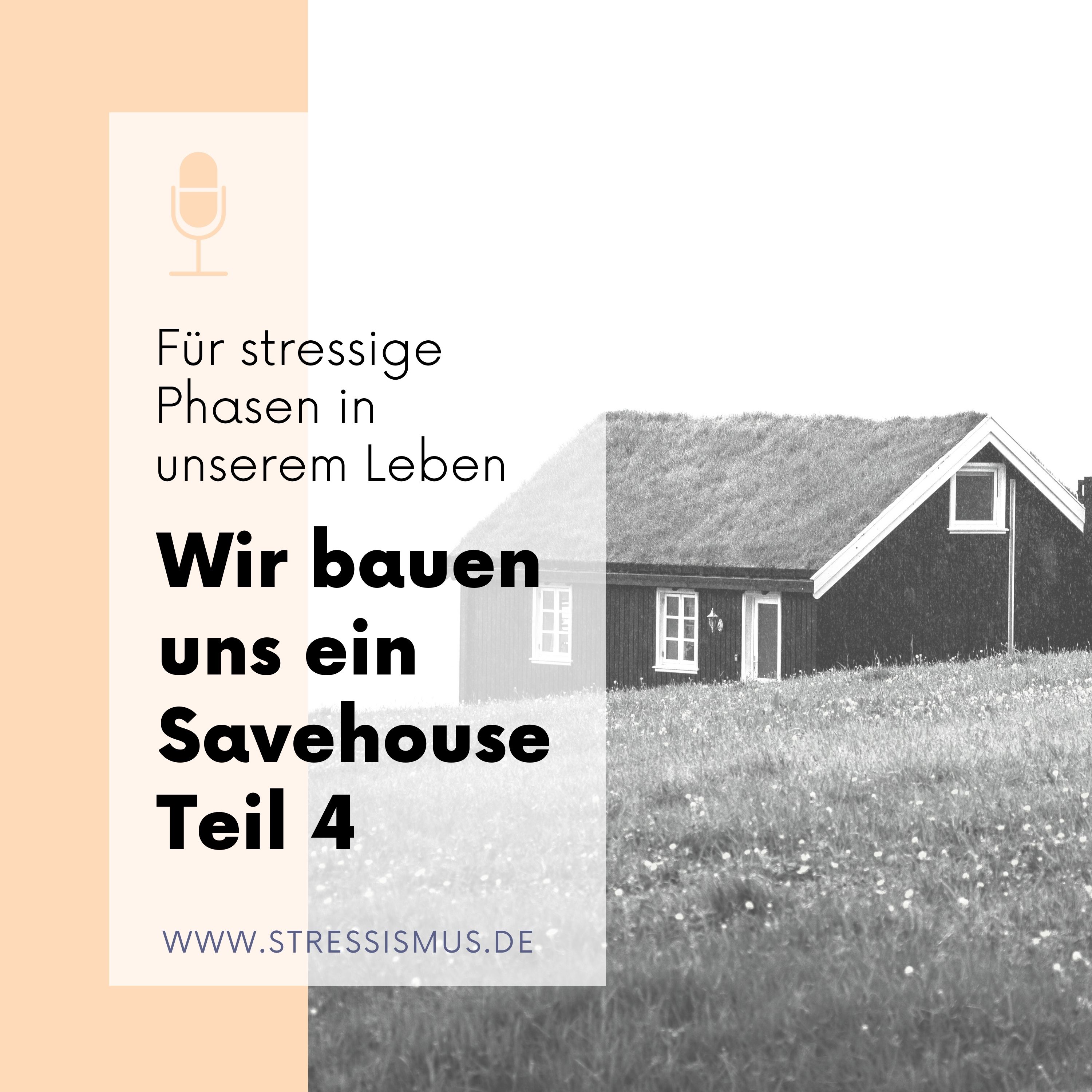 #59 Wir bauen uns ein Stress-Savehouse, Teil 4 episode artwork