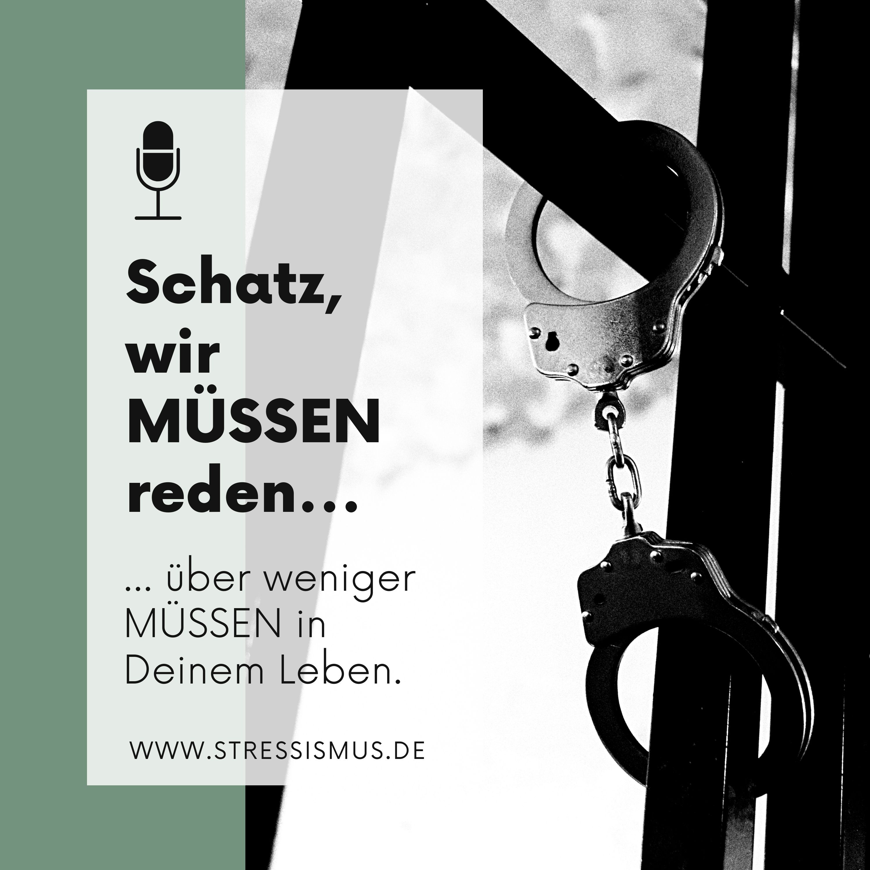#65 Weniger MÜSSEN in Deinem Leben episode artwork